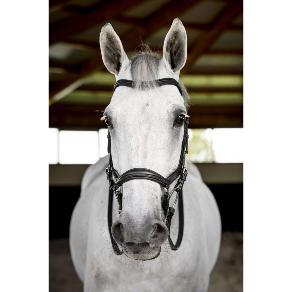 Horseware Micklem Deluxe Competition Bridle Nero