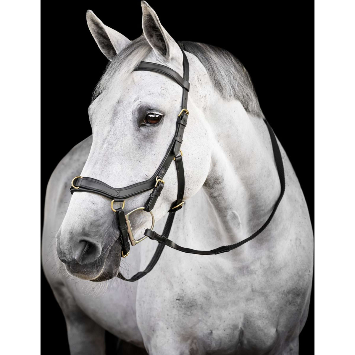 Horseware Micklem Multi Bridle Nero
