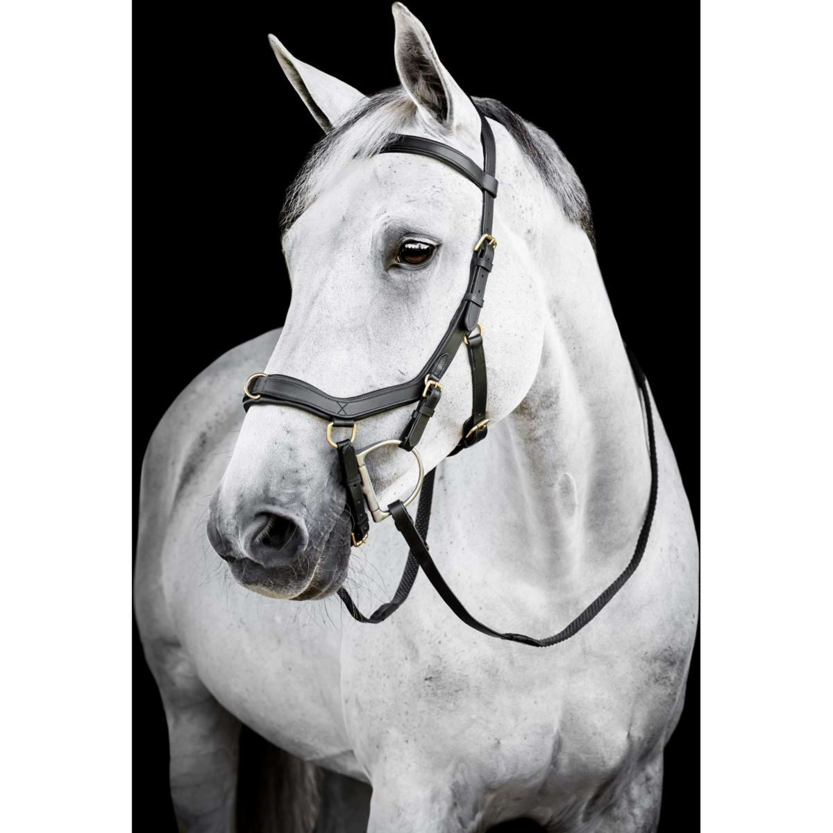 Horseware Micklem Multi Bridle Nero