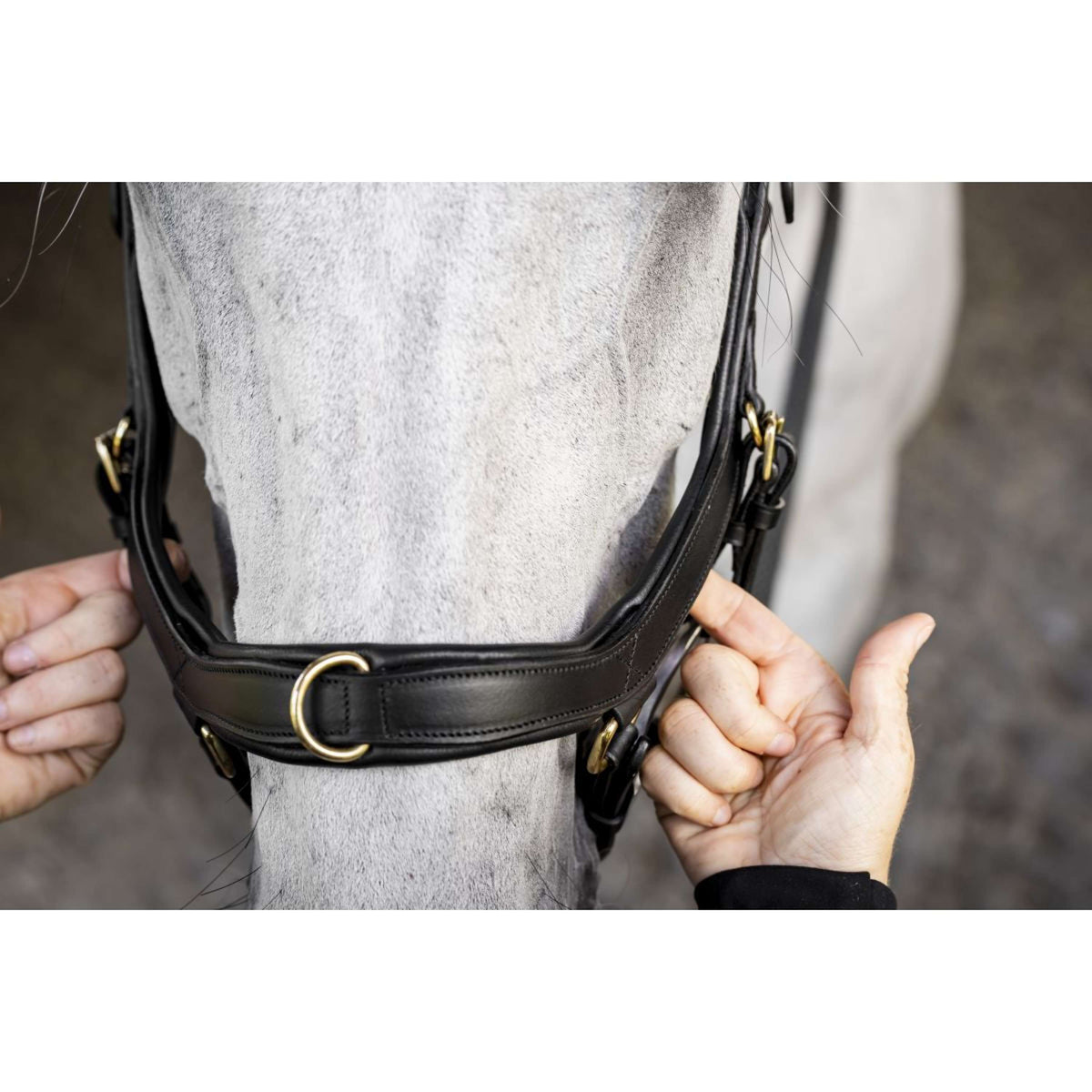 Horseware Micklem Multi Bridle Nero