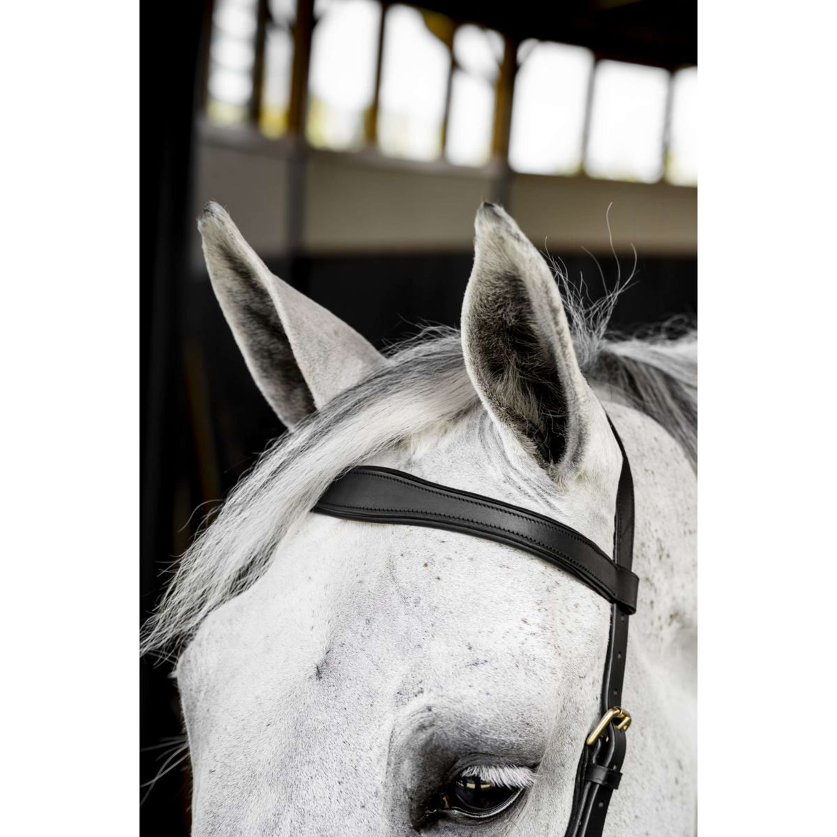 Horseware Micklem Multi Bridle Nero