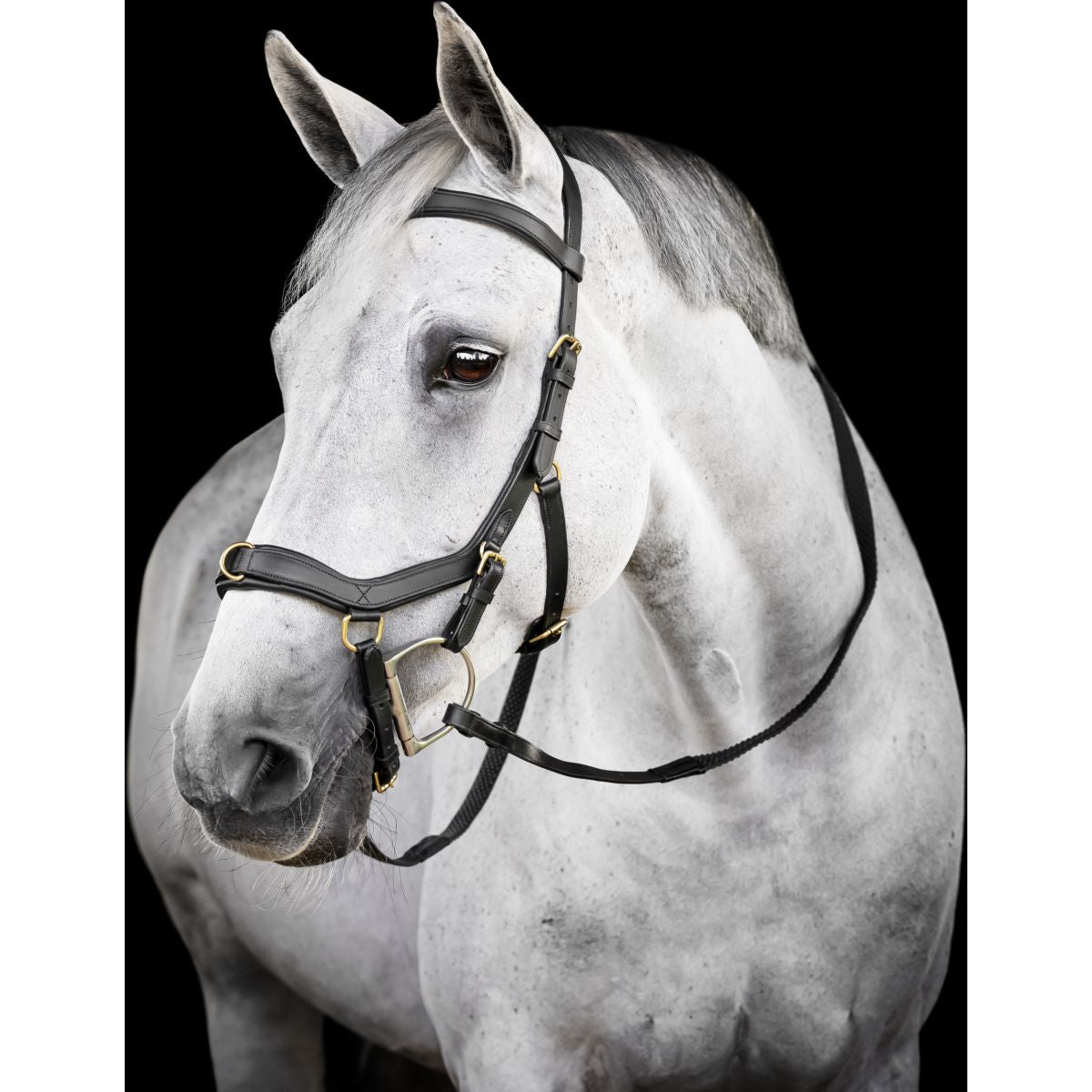 Horseware Micklem Multi Bridle Nero