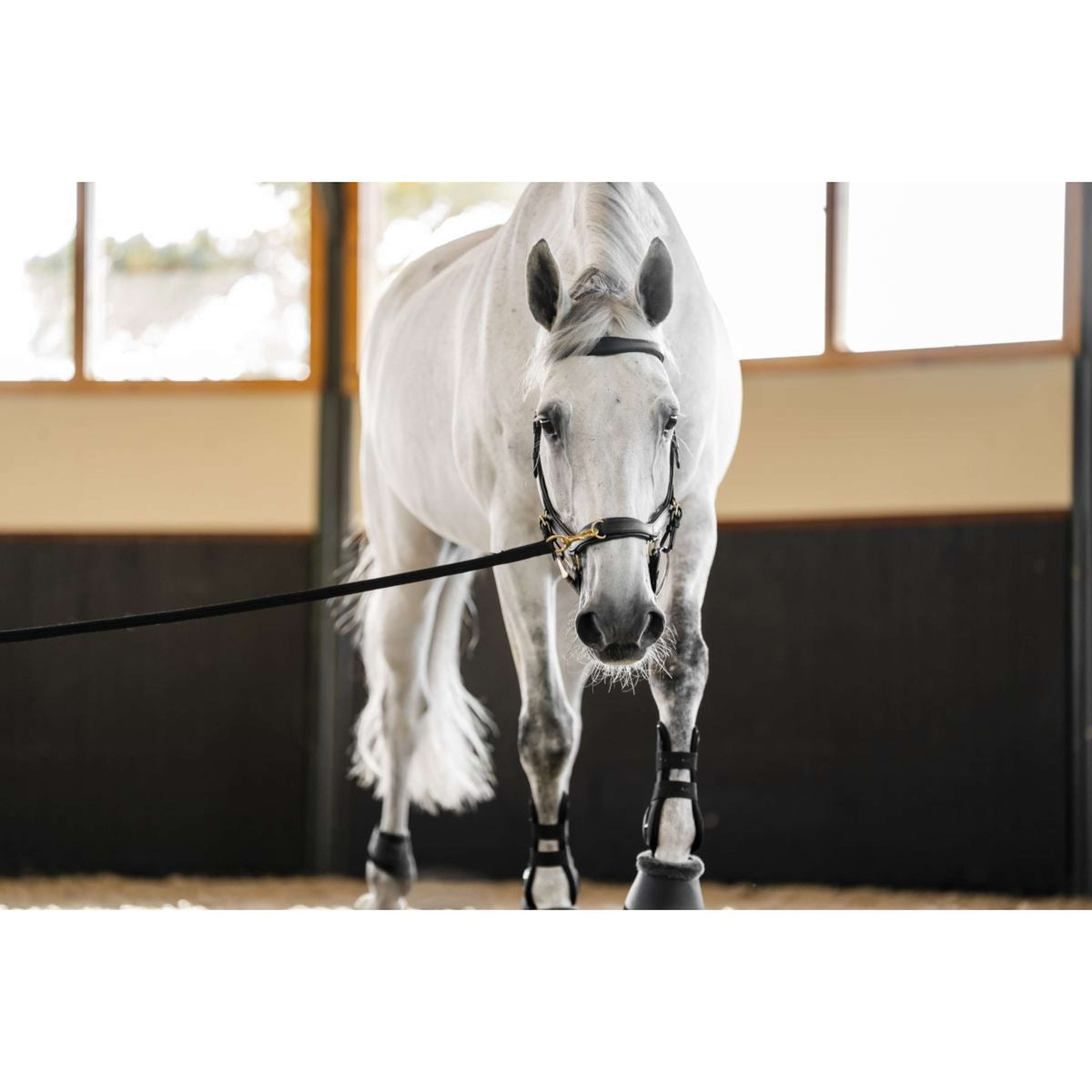 Horseware Micklem Multi Bridle Nero