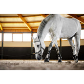 Horseware Micklem Multi Bridle Nero