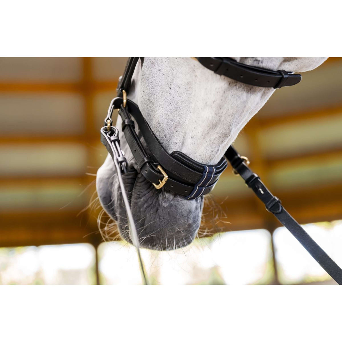Horseware Micklem Multi Bridle Nero