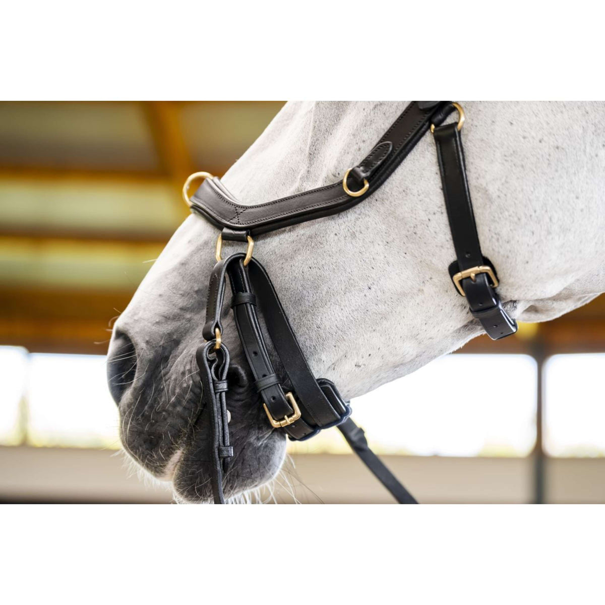 Horseware Micklem Multi Bridle Nero