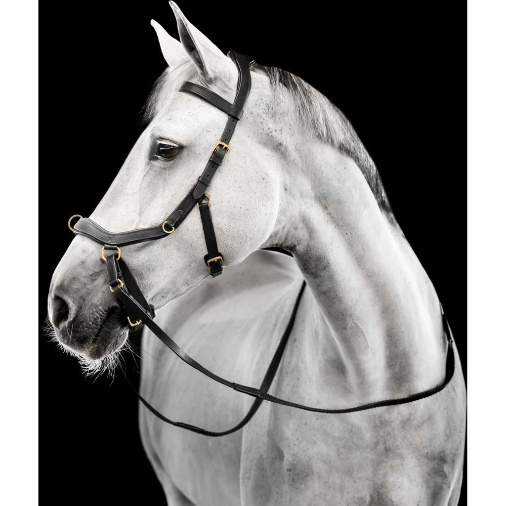 Horseware Micklem Multi Bridle Nero