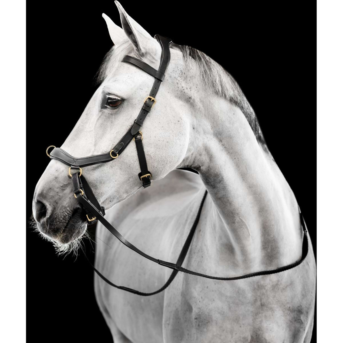 Horseware Micklem Multi Bridle Nero