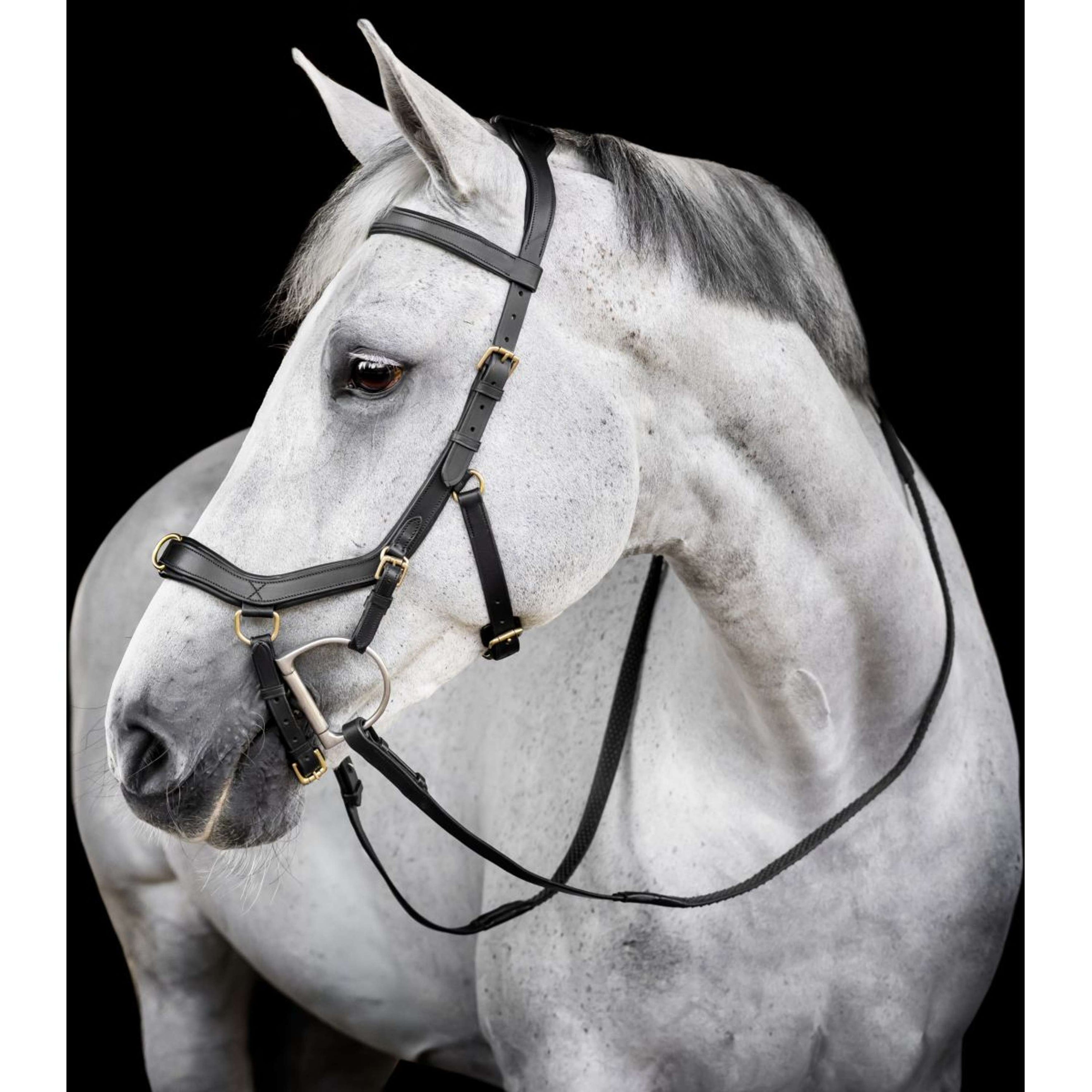 Horseware Micklem Multi Bridle Nero Horseware Micklem Multi Bridle Nero