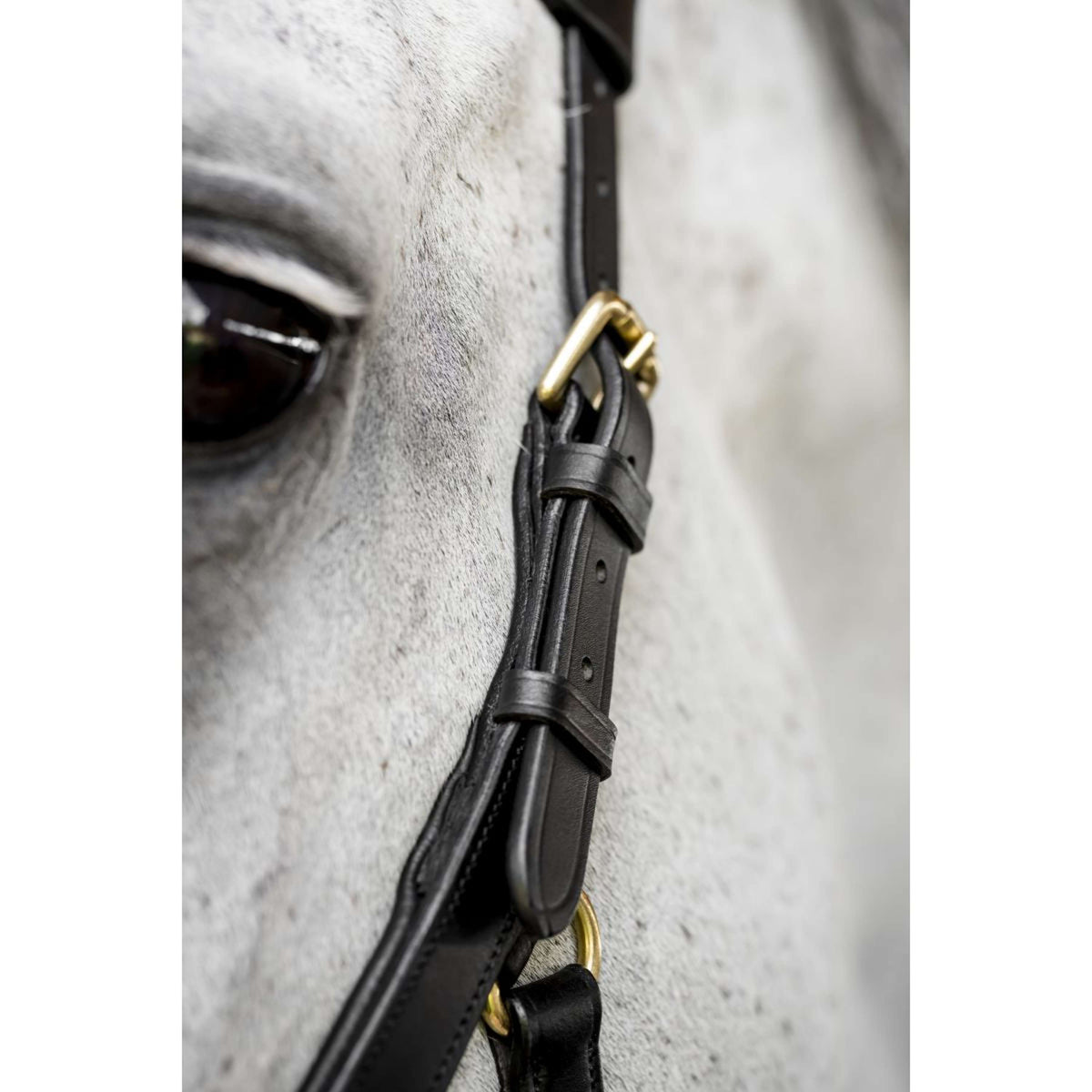 Horseware Micklem Multi Bridle Nero