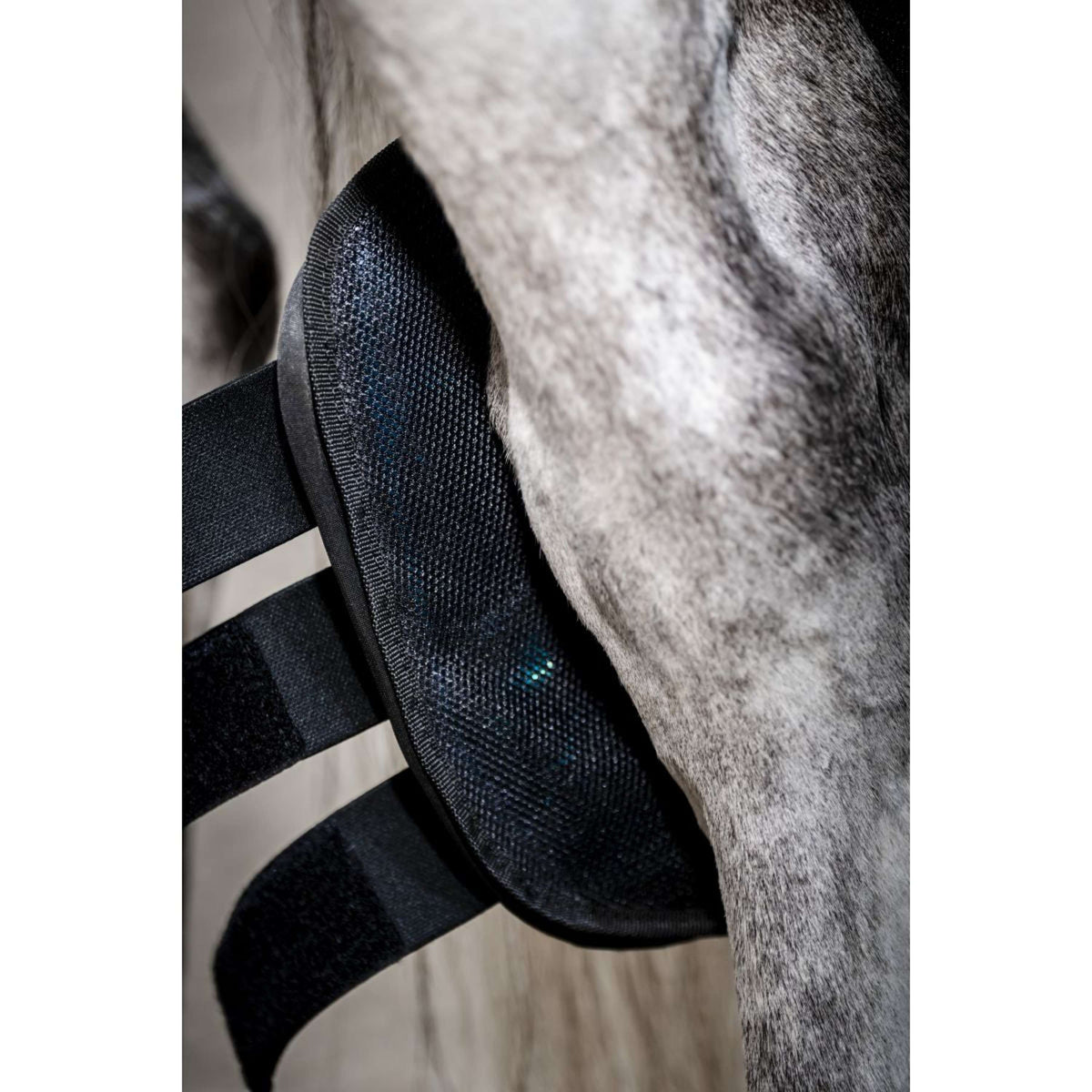 Horseware Ice Gel Hock Boots Nero