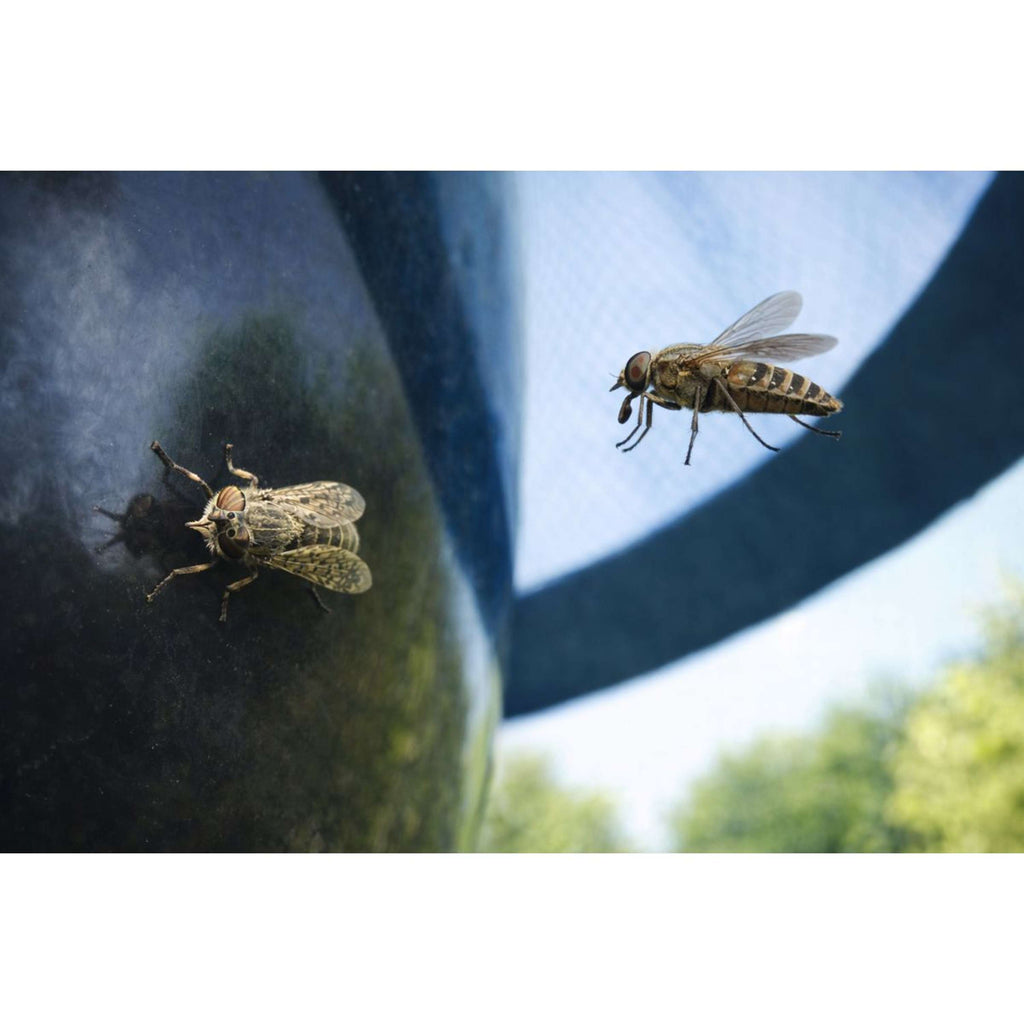 H-Trap Trappola per Tafani