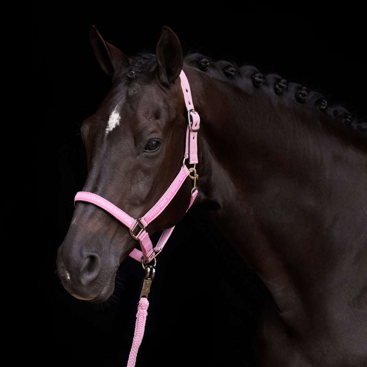 HV Polo Capezzina HVPNena Pretty Pink