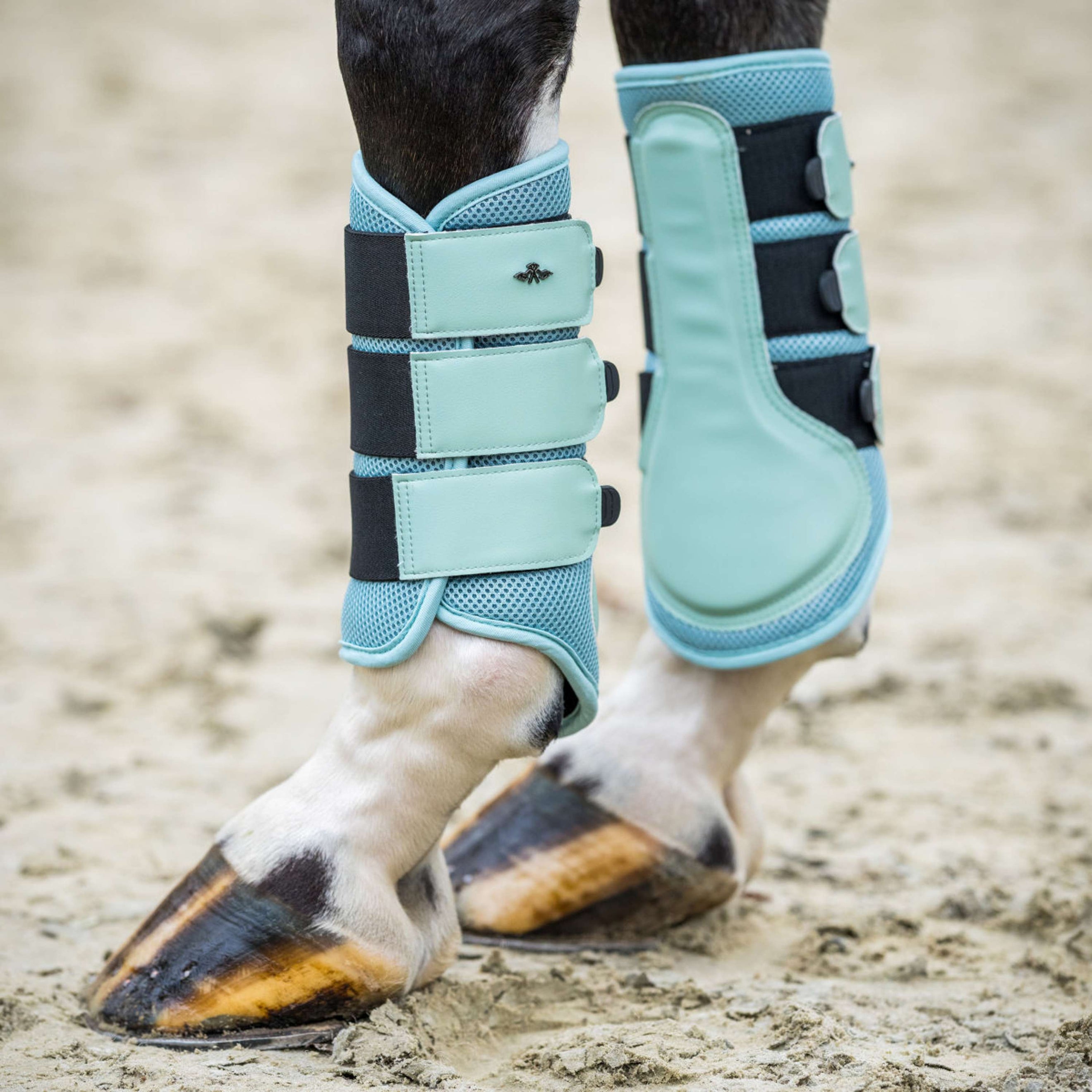 HV Polo Stivali da dressage HVPAir Flow Aqua Sky