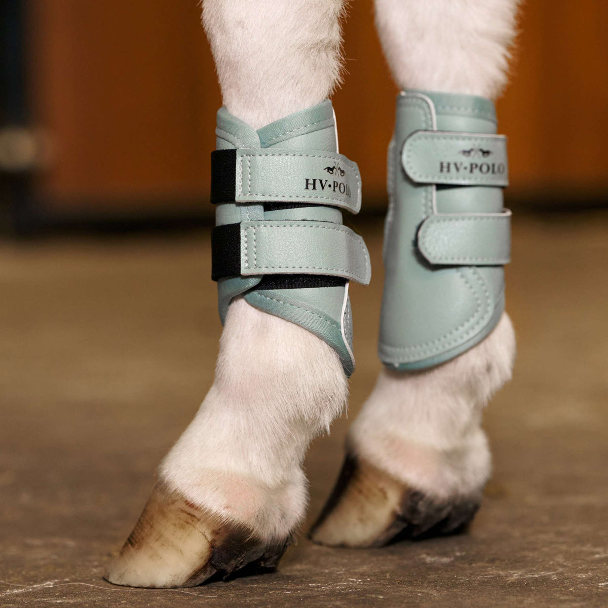 HV Polo Stivali da dressage HVPSacha Aqua Sky