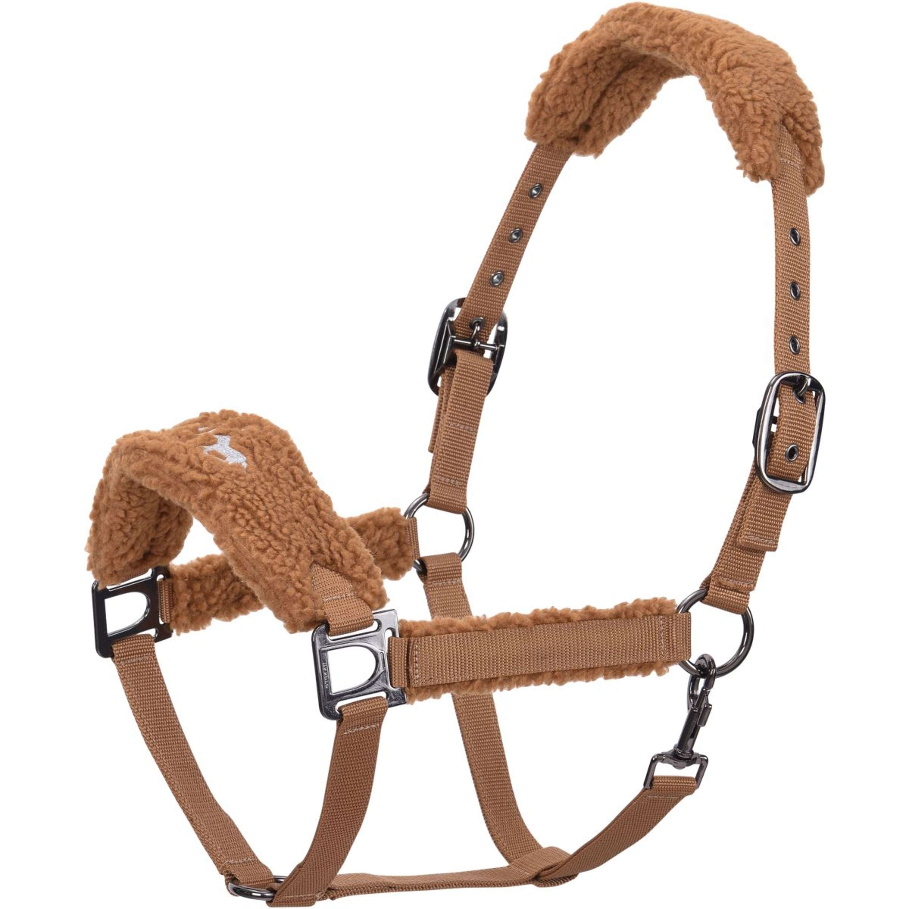 HV Polo Cavezza HVPTeddy Camel