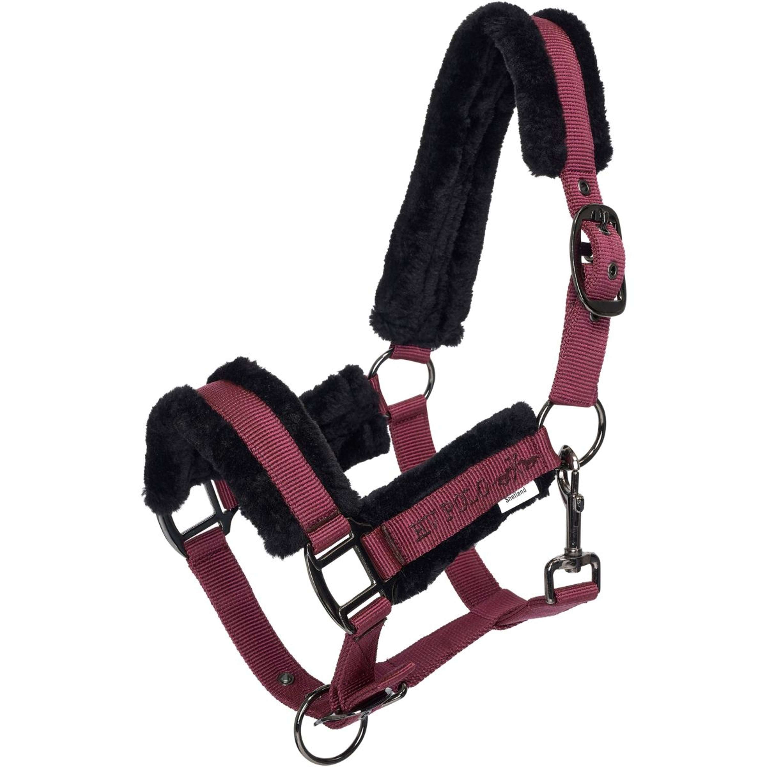 HV Polo Cavezza HVPSacha Wine