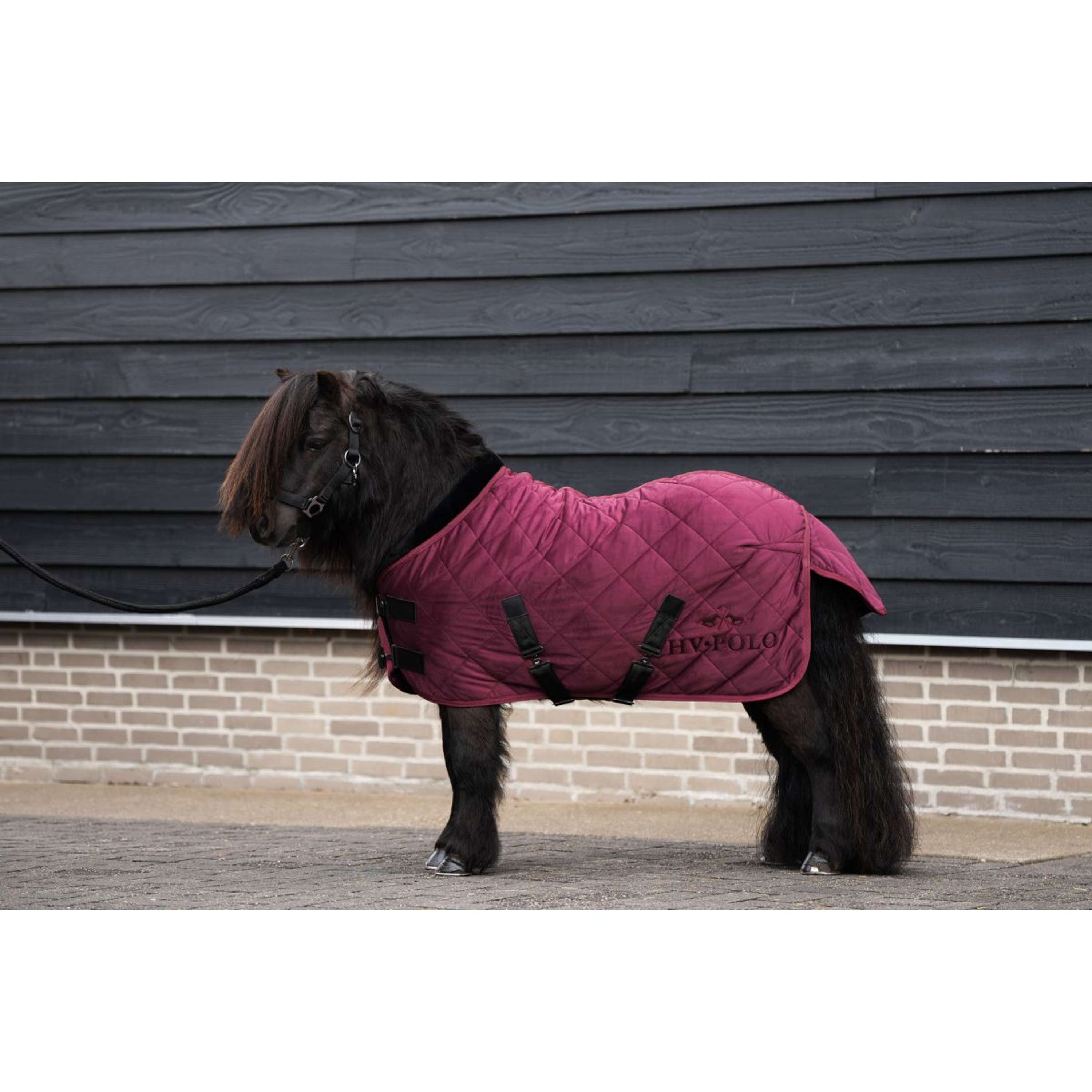 HV Polo Coperta da scuderia HVPSacha Wine