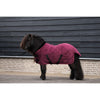 HV Polo Coperta da scuderia HVPSacha Wine