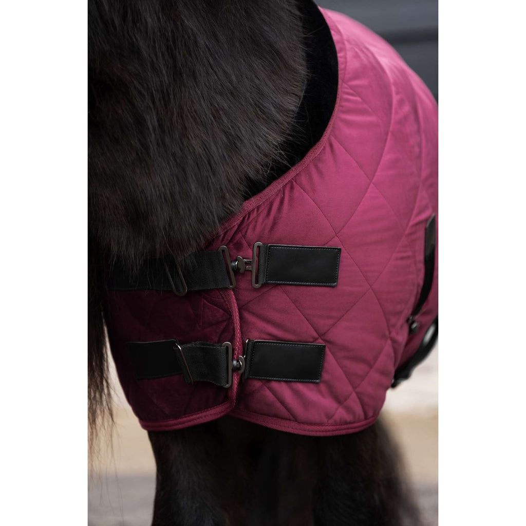 HV Polo Coperta da scuderia HVPSacha Wine