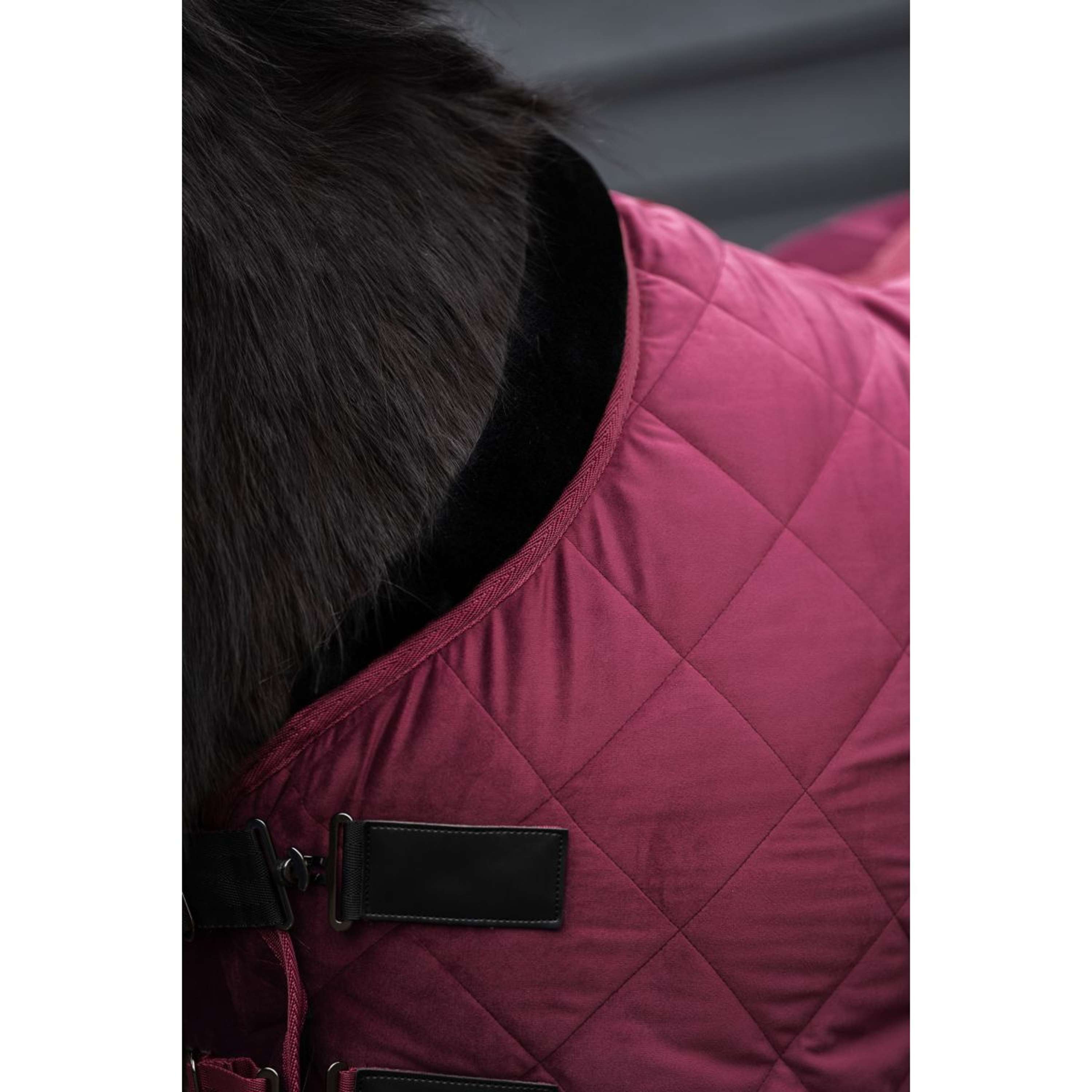HV Polo Coperta da scuderia HVPSacha Wine