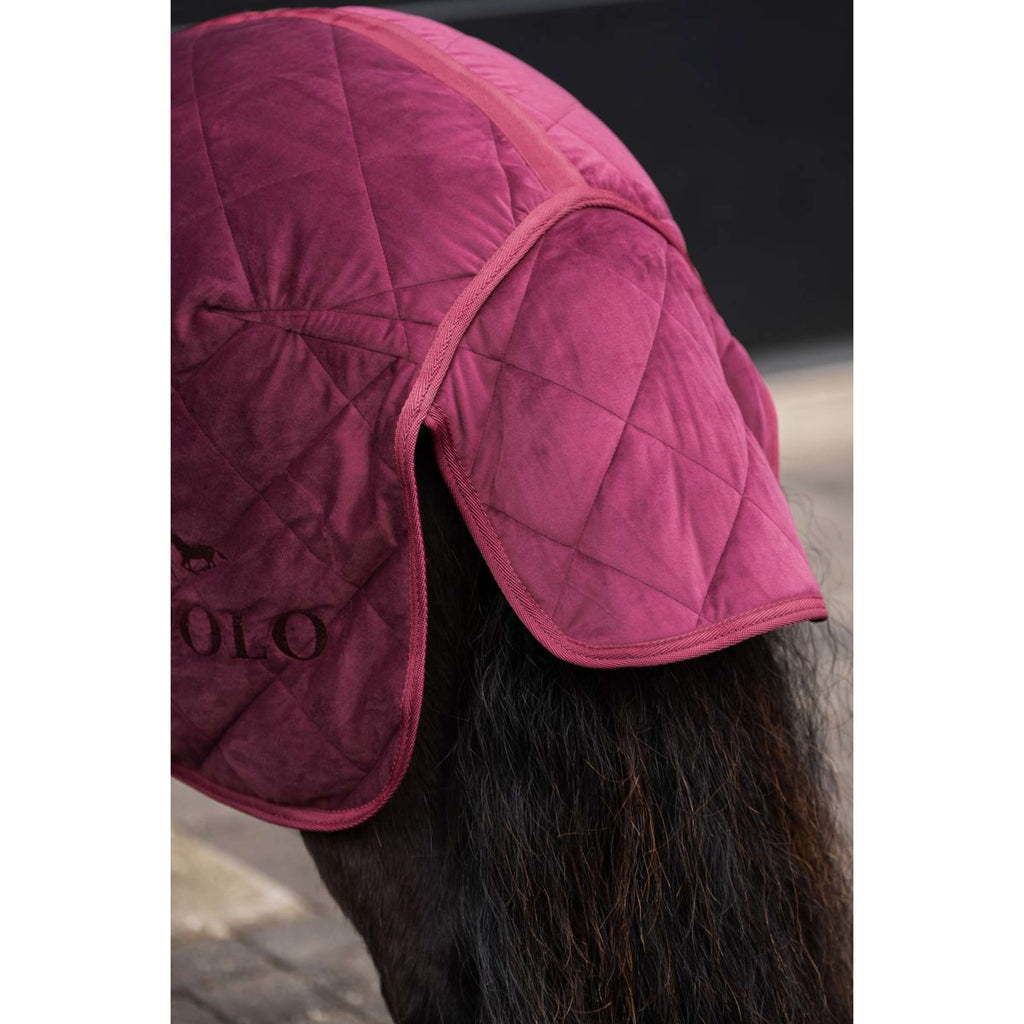 HV Polo Coperta da scuderia HVPSacha Wine