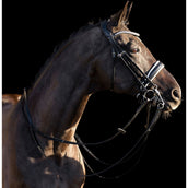 HV Polo Briglia Doppia Legacy Nero/Bianco