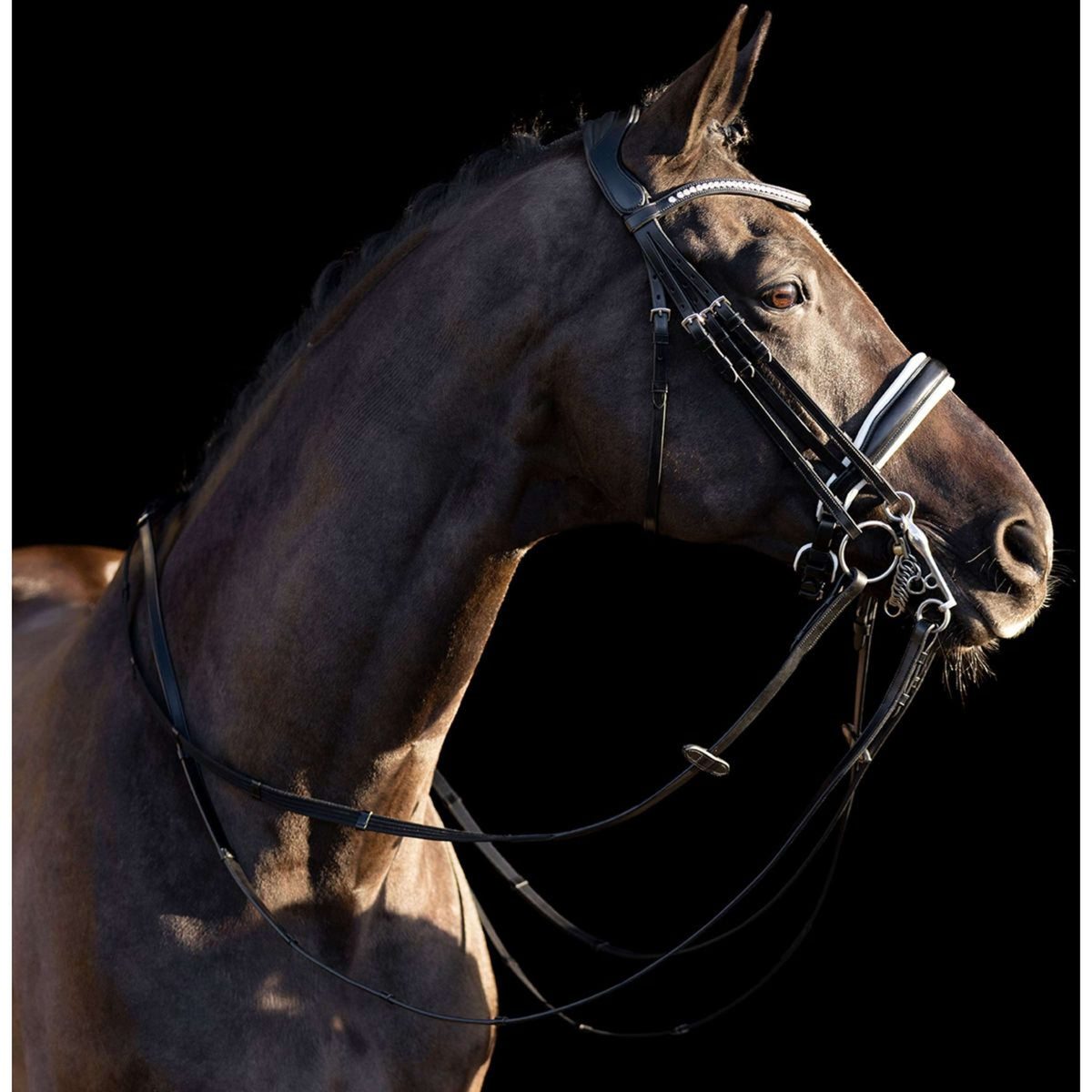 HV Polo Briglia Doppia Legacy Nero/Bianco