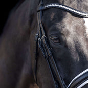 HV Polo Briglia Doppia Legacy Nero/Bianco