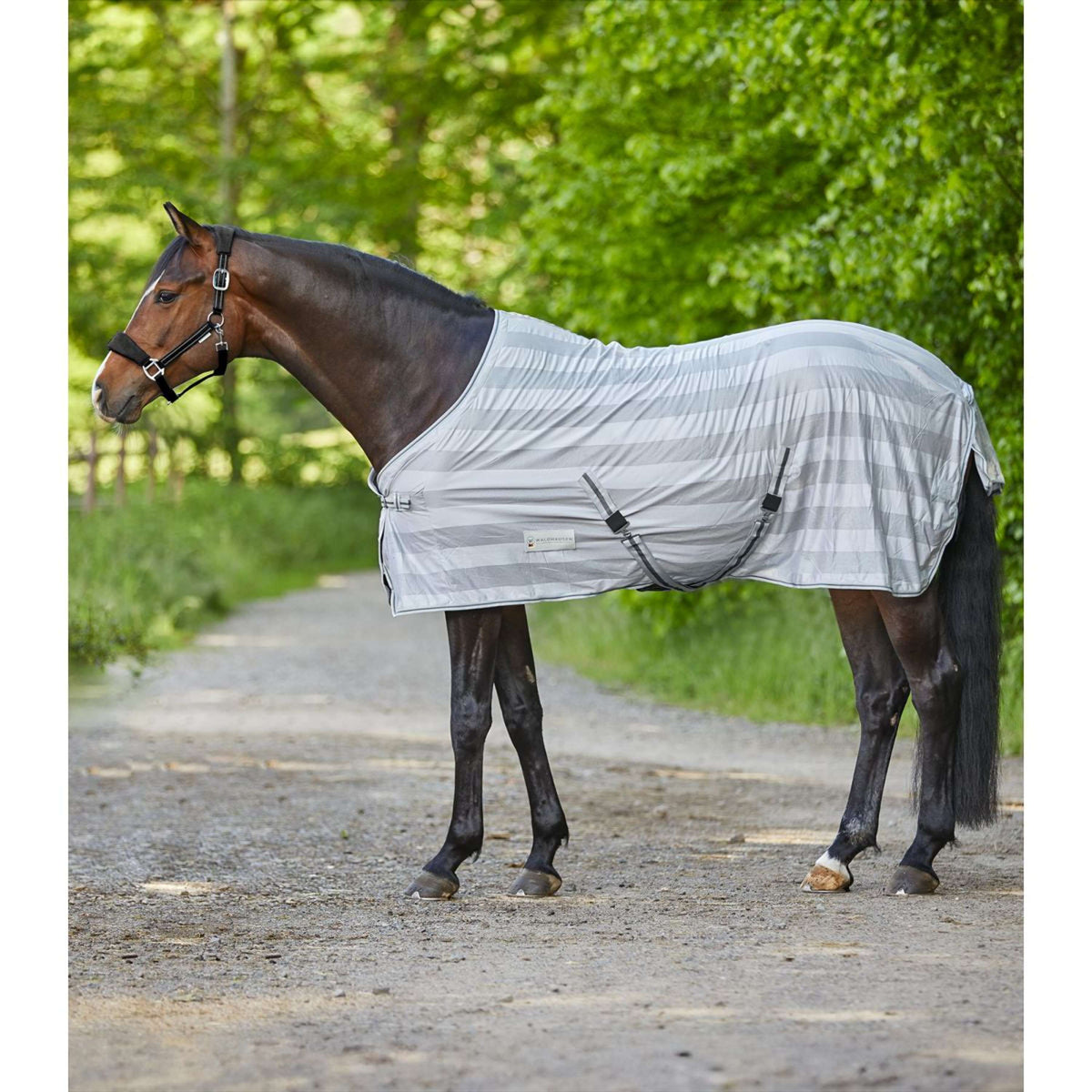 Waldhausen Coperta Antimosche Economic Grigio argento