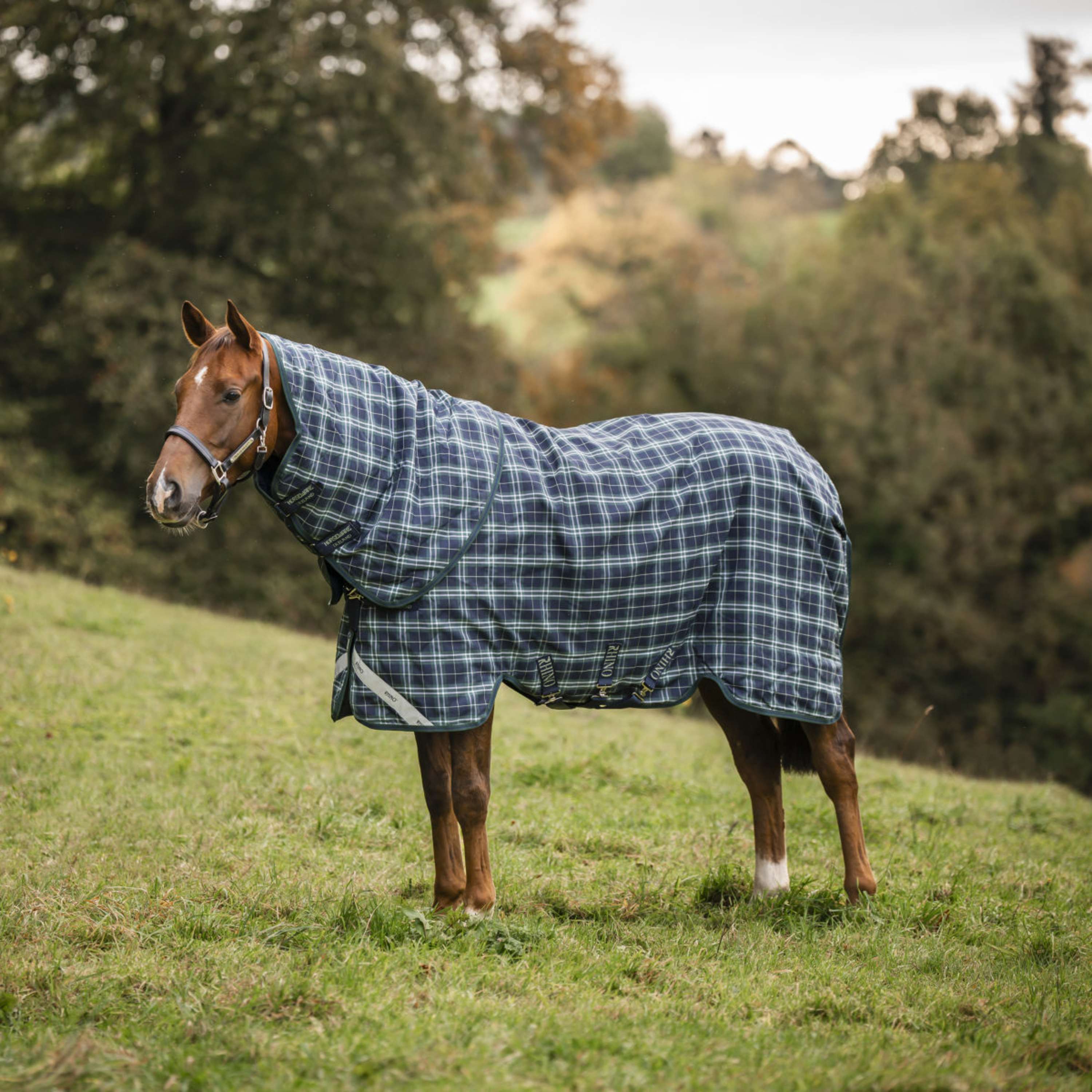 Rhino Copricollo Turnout 0g Hunter Check/Green/Navy