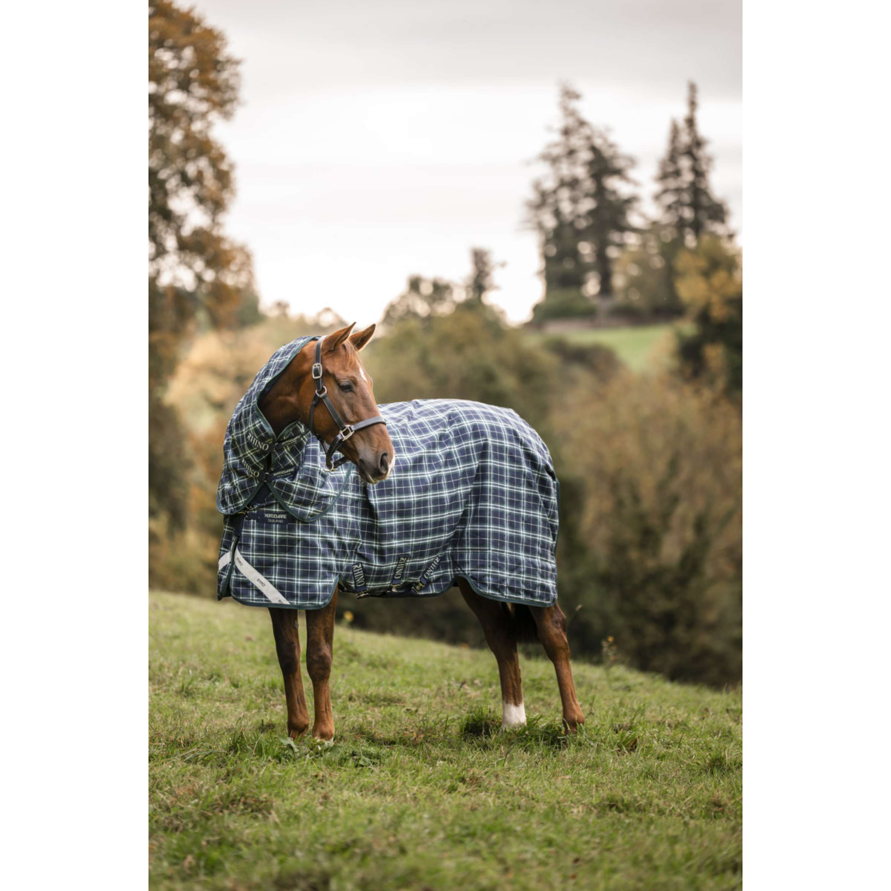 Rhino Copricollo Turnout 0g Hunter Check/Green/Navy
