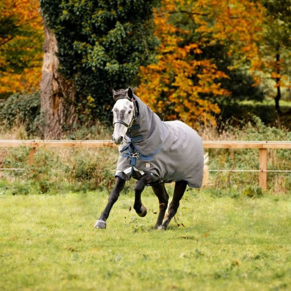 Rhino Plus Hextop VL 0g Grey/Indigo/Navy