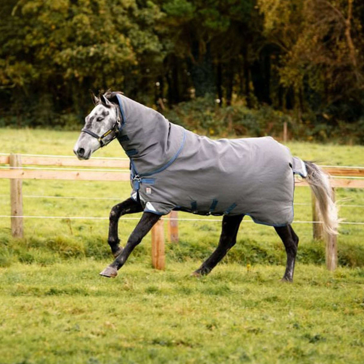 Rhino HexStop Plus Varilayer  Grigio/Indaco