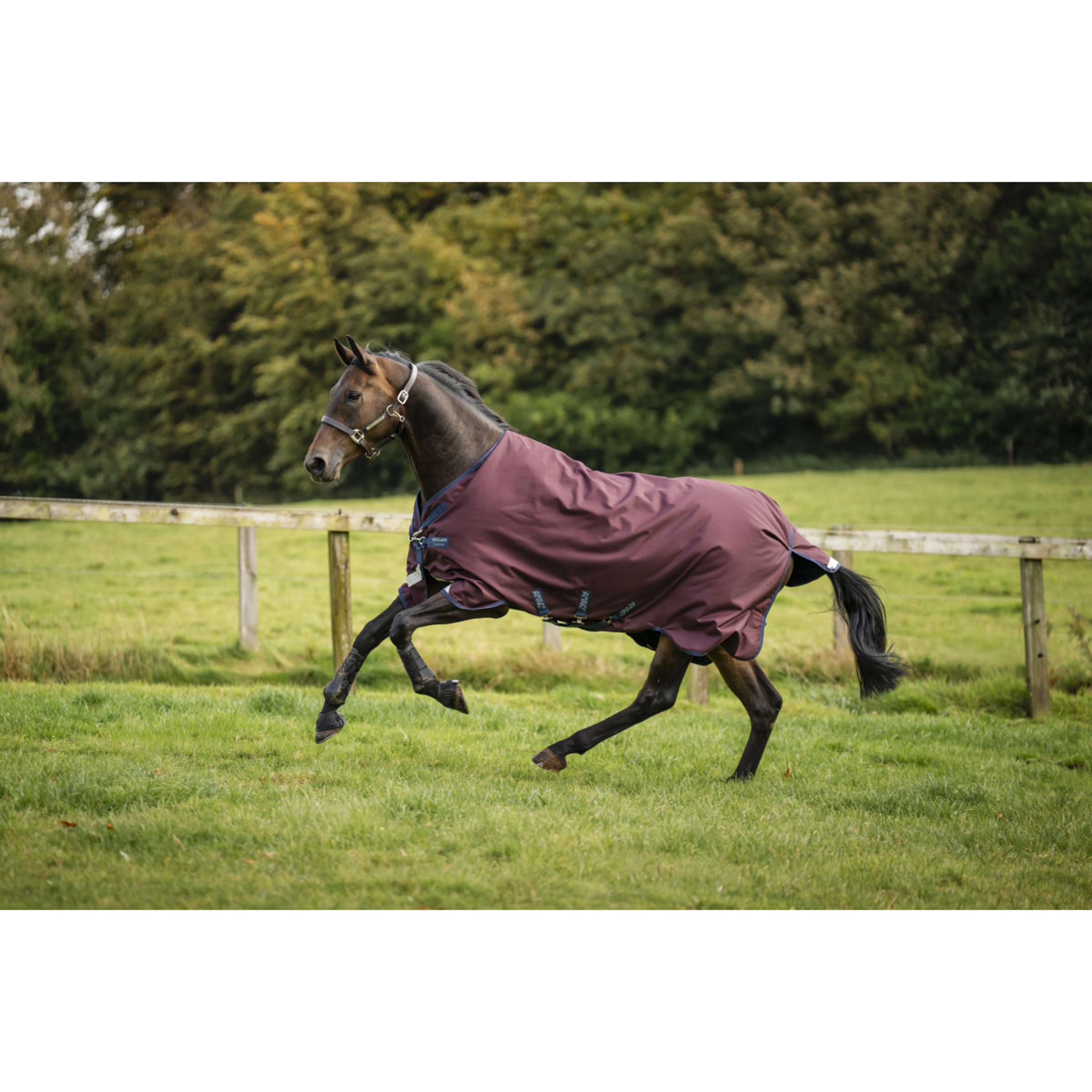 Amigo Turnout 1200D 0g Burgundy/Navy/Titanium Grey