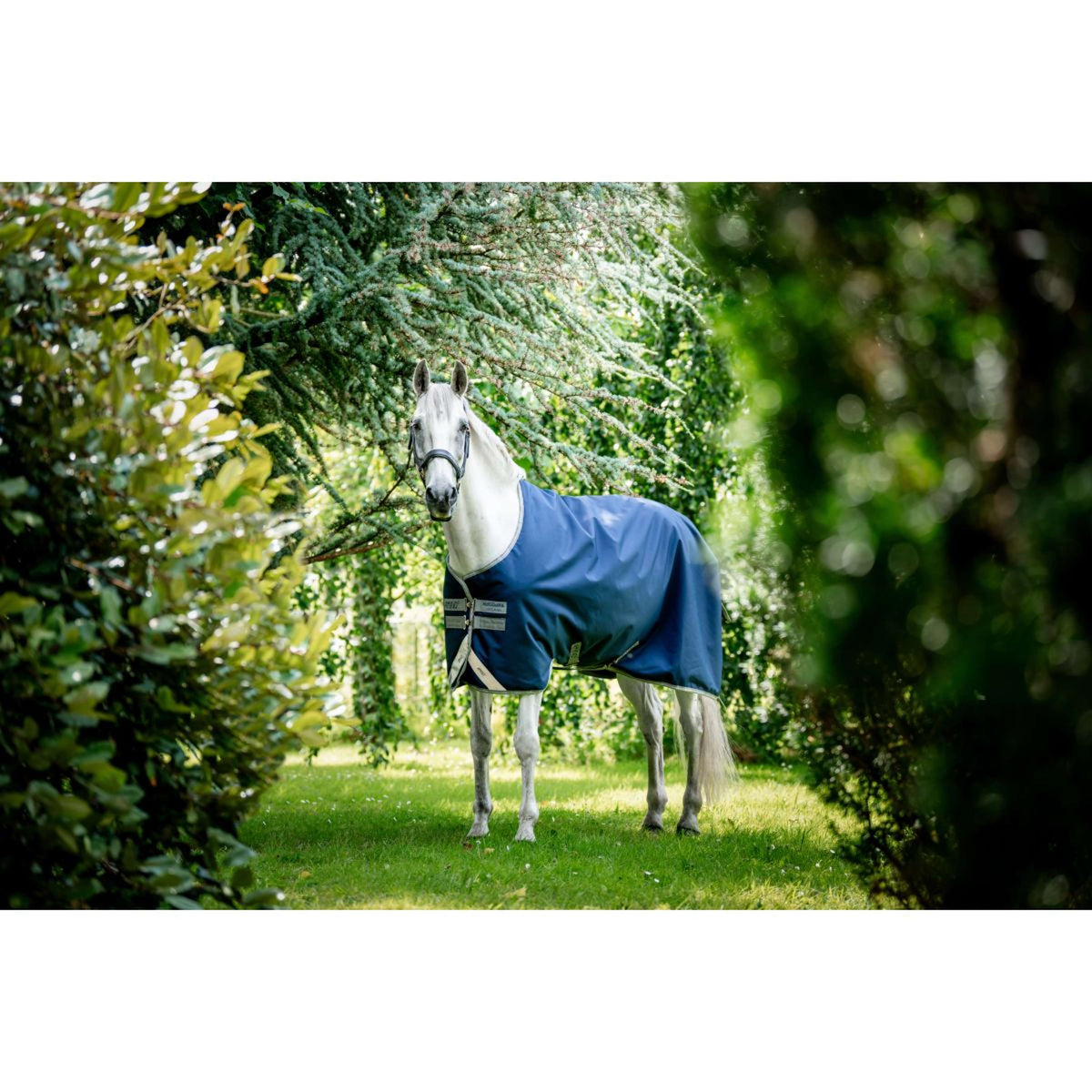 Amigo by Horseware Bravo 12 Affluenza media Blu marino/Grigio titanio