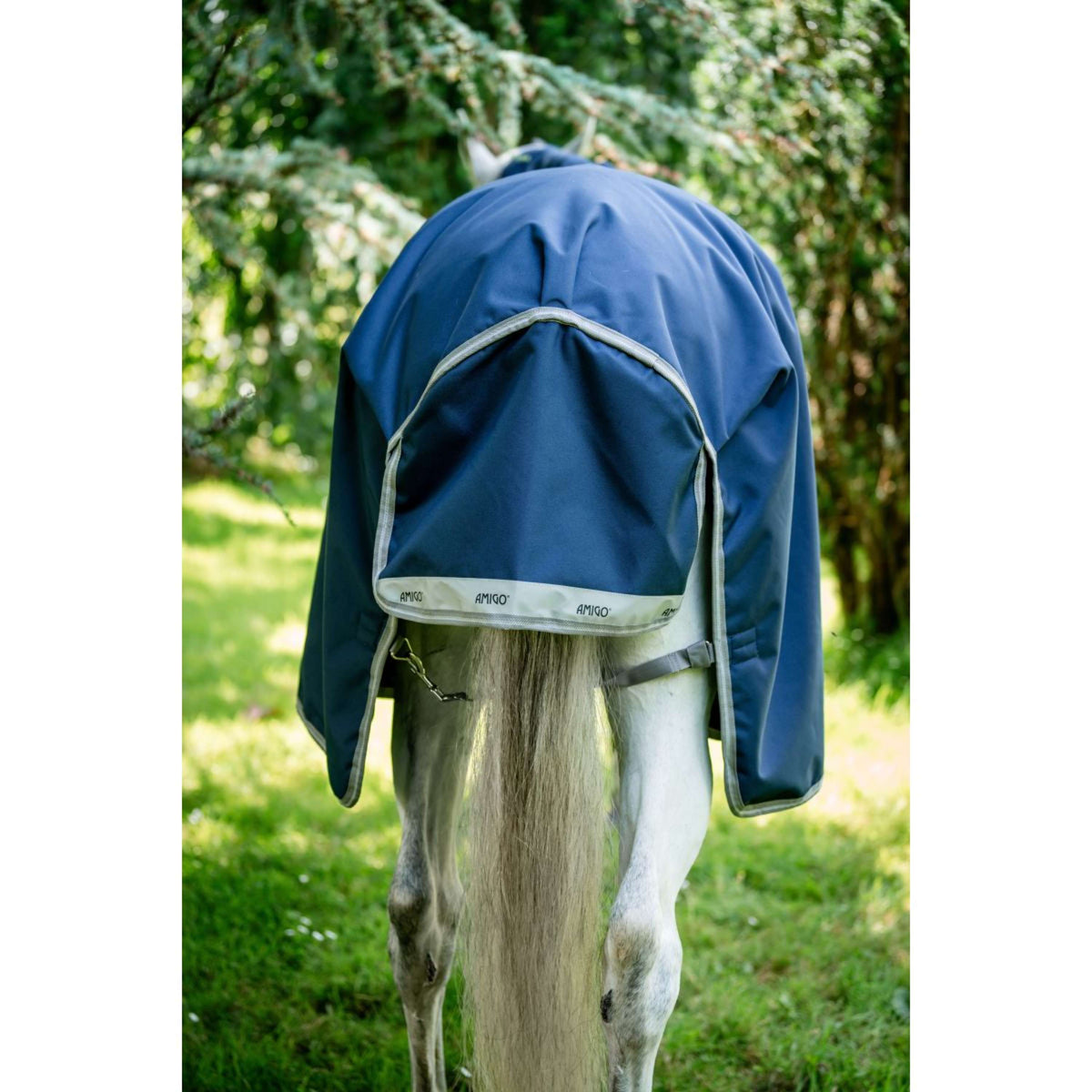 Amigo by Horseware Bravo 12 Affluenza media Blu marino/Grigio titanio