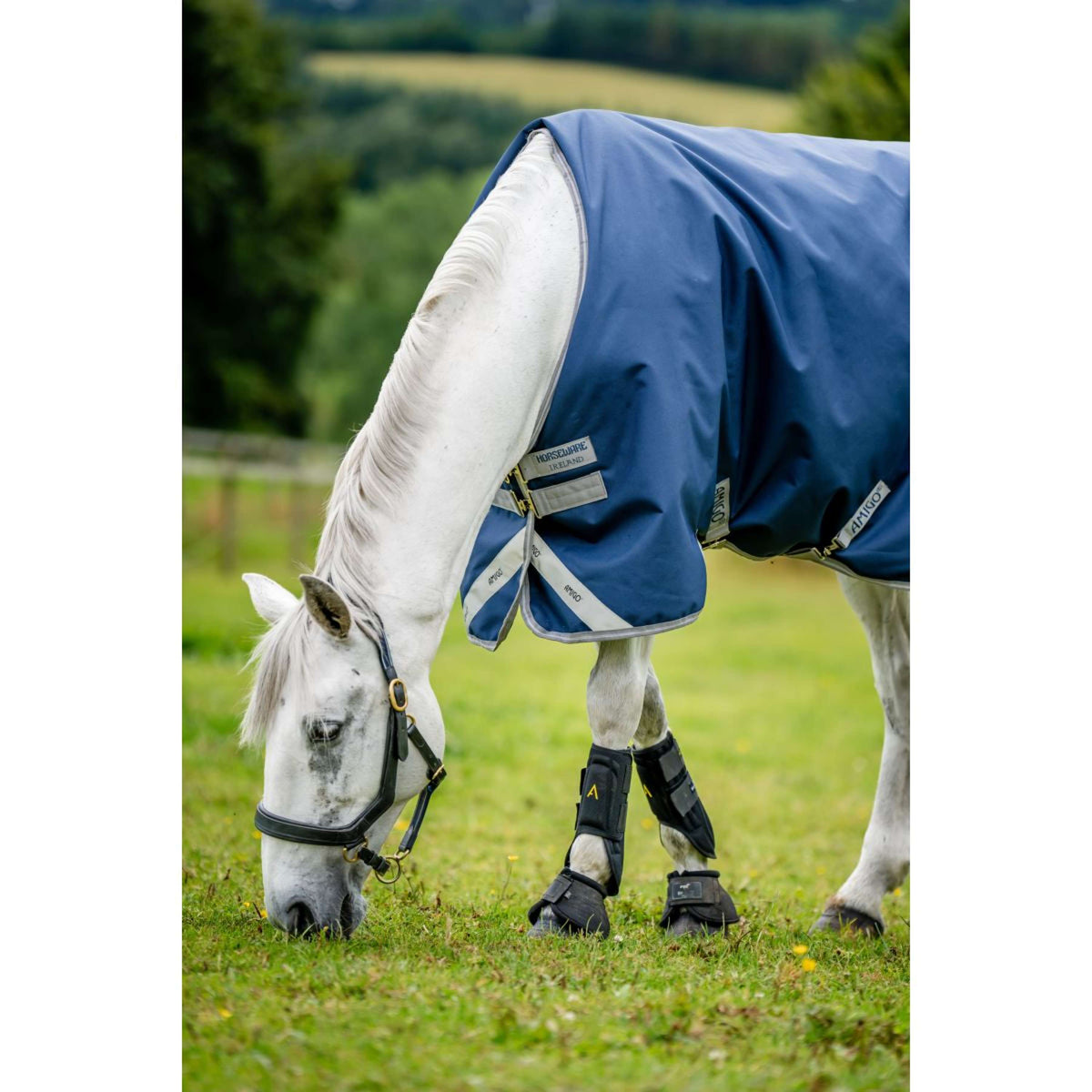 Amigo by Horseware Bravo 12 Affluenza media Blu marino/Grigio titanio