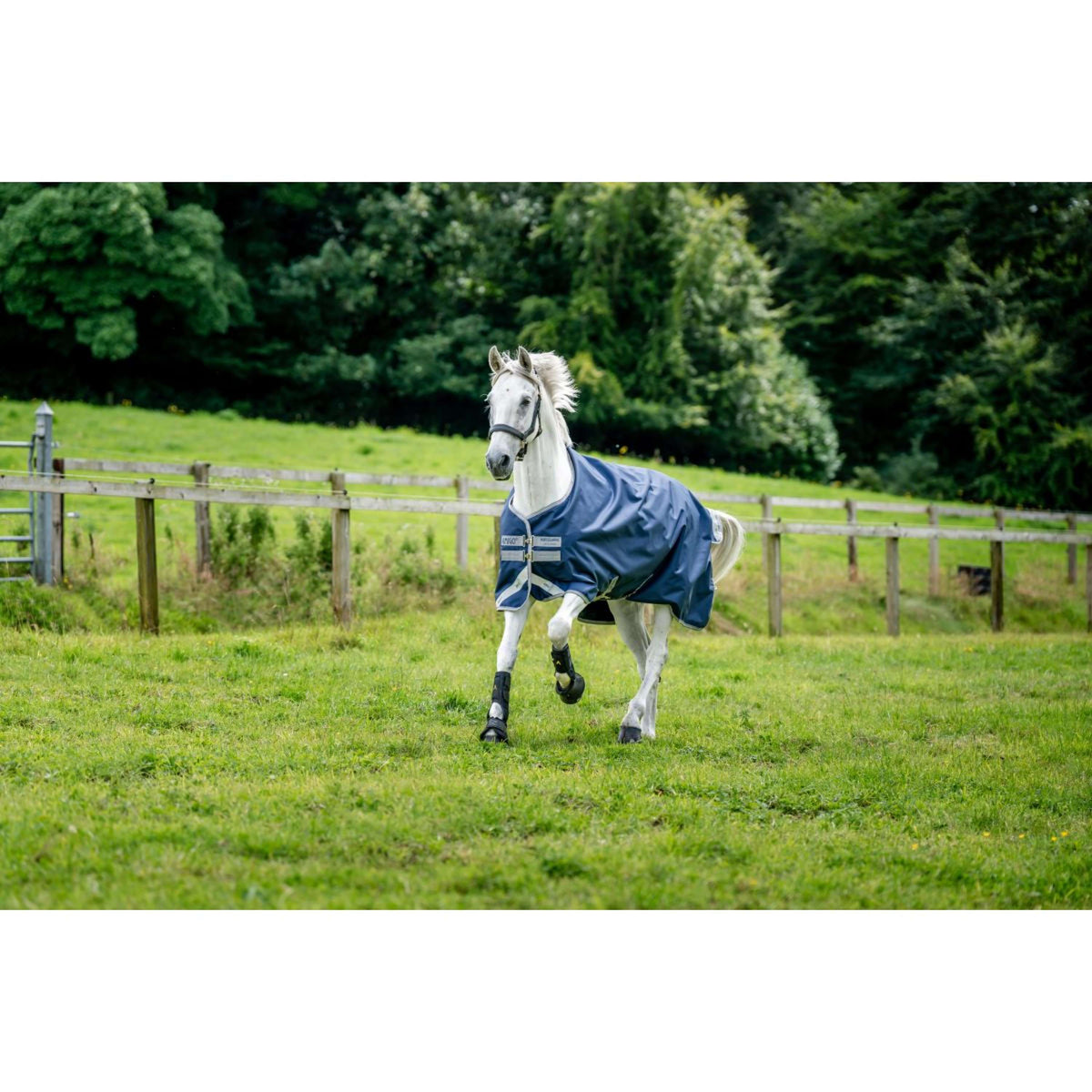 Amigo by Horseware Bravo 12 Affluenza media Blu marino/Grigio titanio