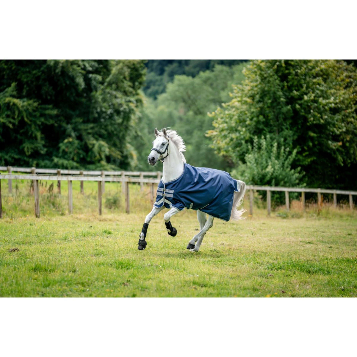Amigo by Horseware Bravo 12 Affluenza media Blu marino/Grigio titanio