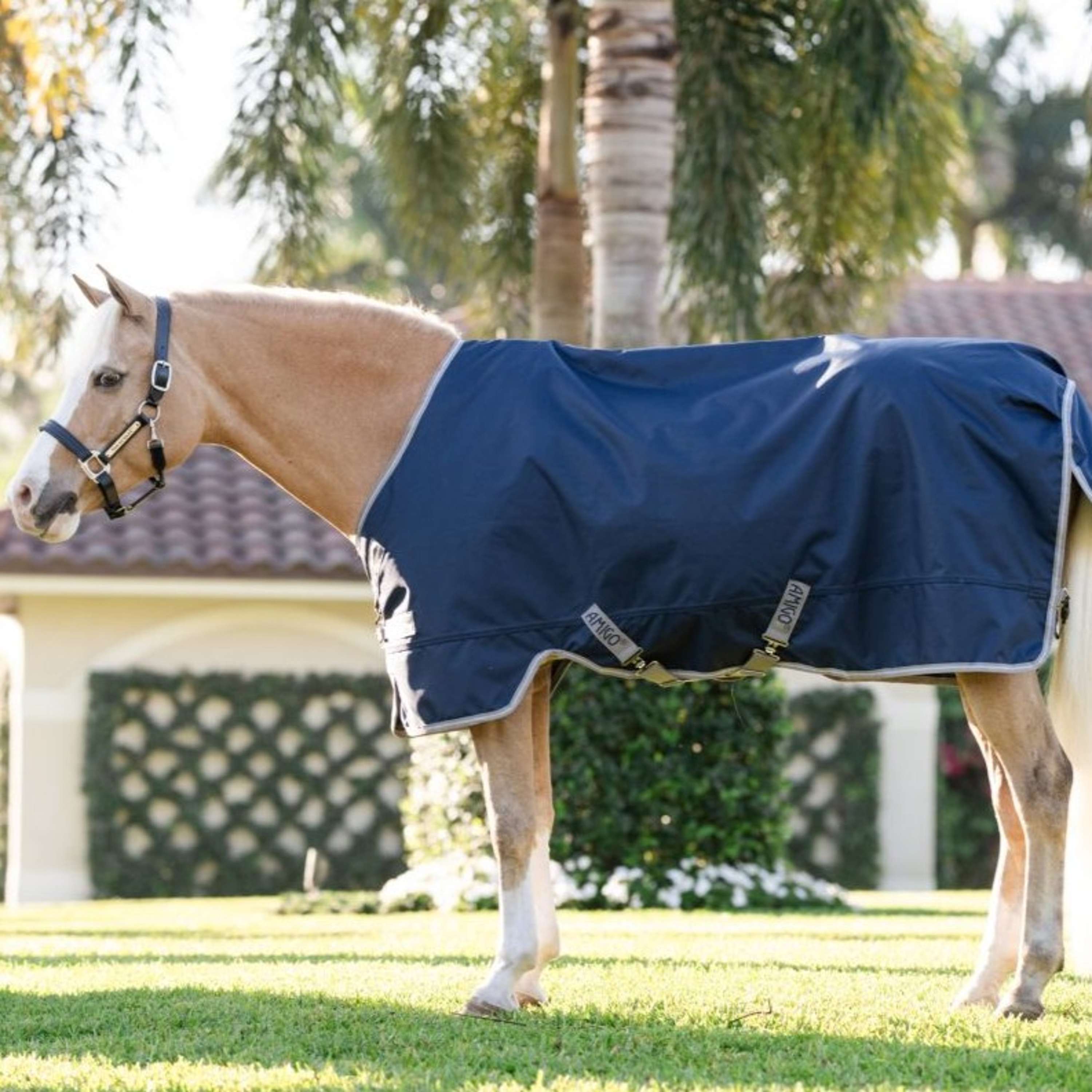 Amigo Turnout 1200D Pony 50g Blu marino/Grigio titanio/Argento