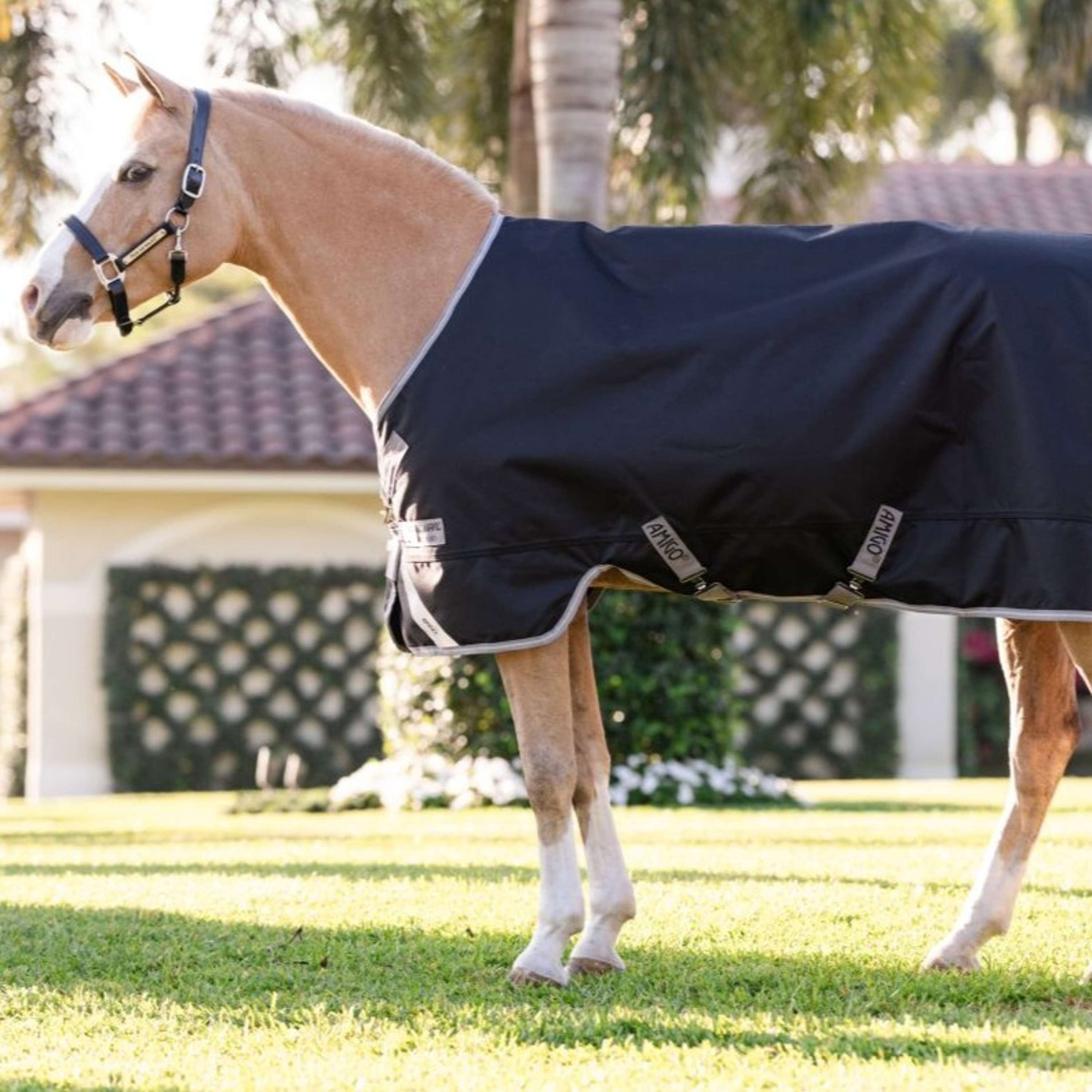 Amigo Turnout 1200D Pony 50g Nero/Grigio Titanio/Argento