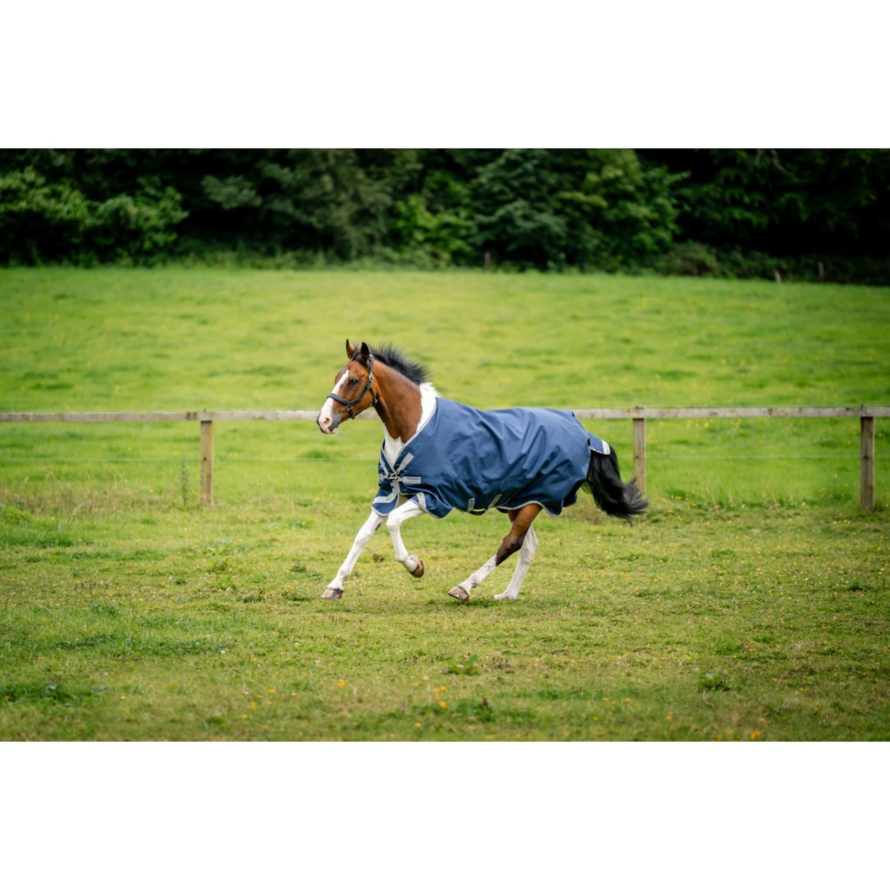 Amigo Bravo 12XL originale Turnout medio 250g Navy/Titanium Grey