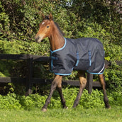 Amigo Coperta per Puledro Ripstop 200g Navy/ElecBlue