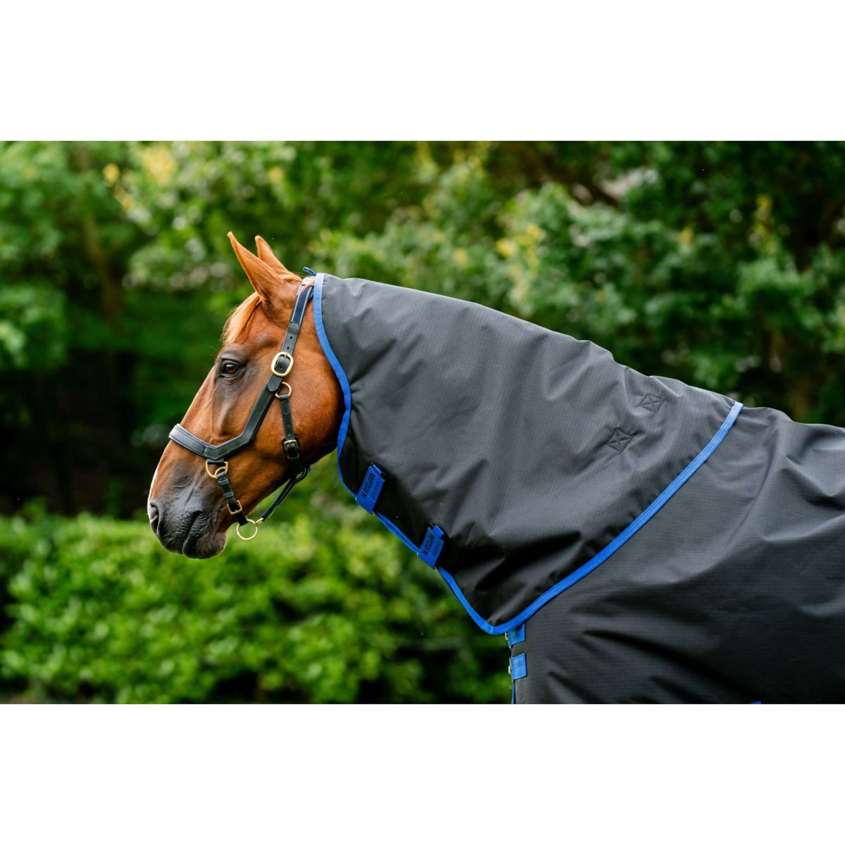 Amigo Collo Ripstop 900 0g Nero/Blu