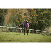Amigo Turnout Plus 1200D 50g Burgundy/Navy/Titanium Grey