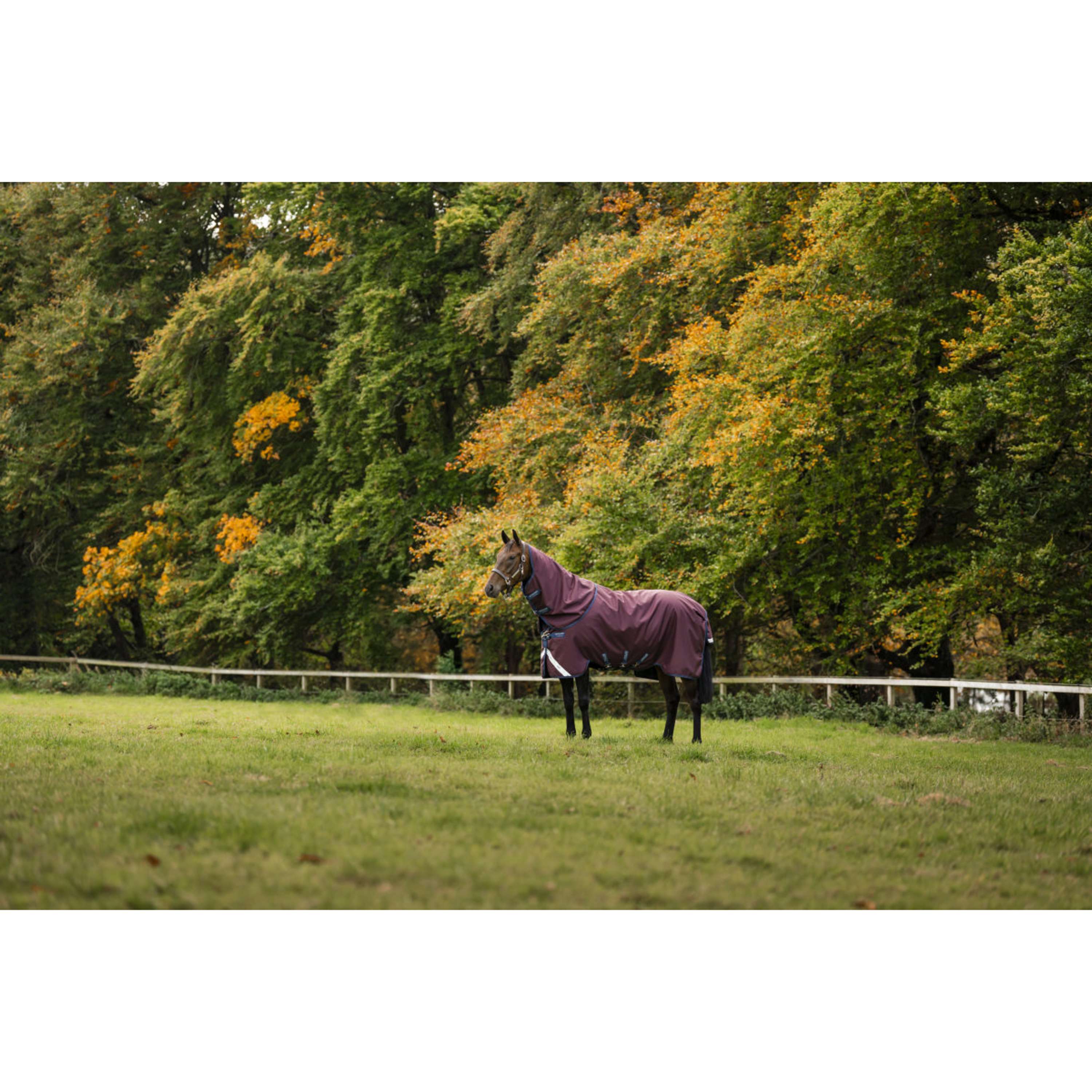 Amigo Turnout Plus 1200D 250g Burgundy/Navy/Titanium Grey