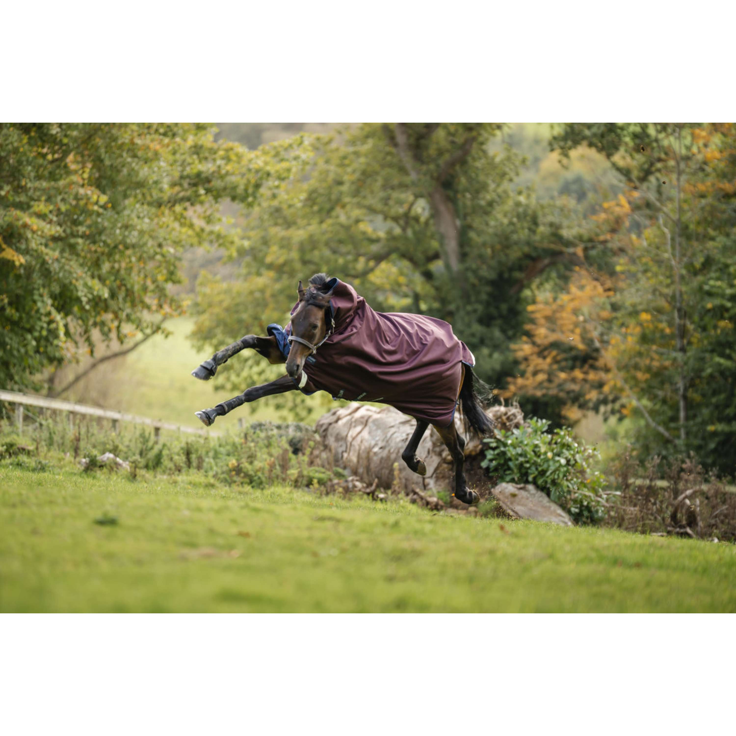 Amigo Turnout Plus 1200D 250g Burgundy/Navy/Titanium Grey