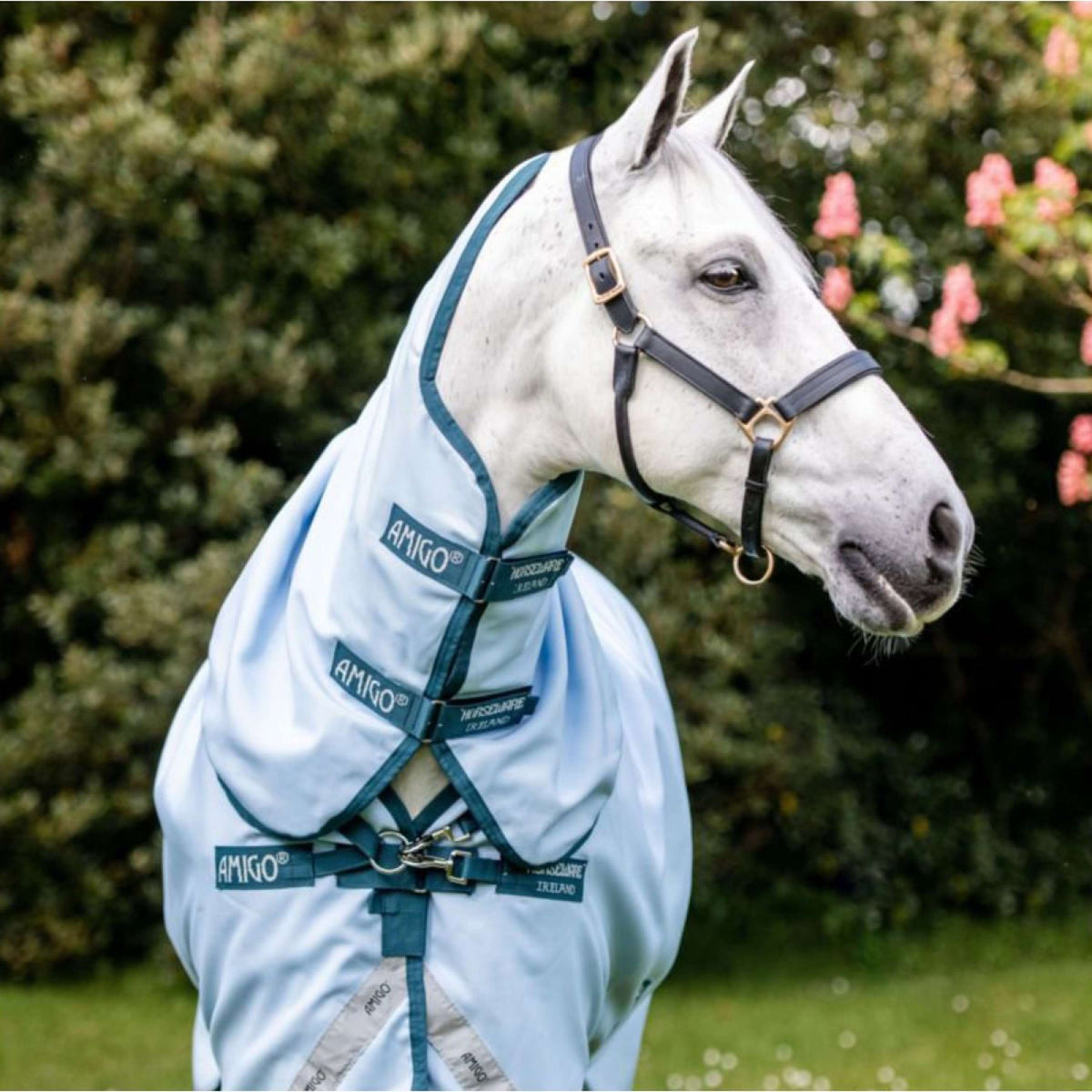 Amigo Plant Dye Turnout Blu/blu marino