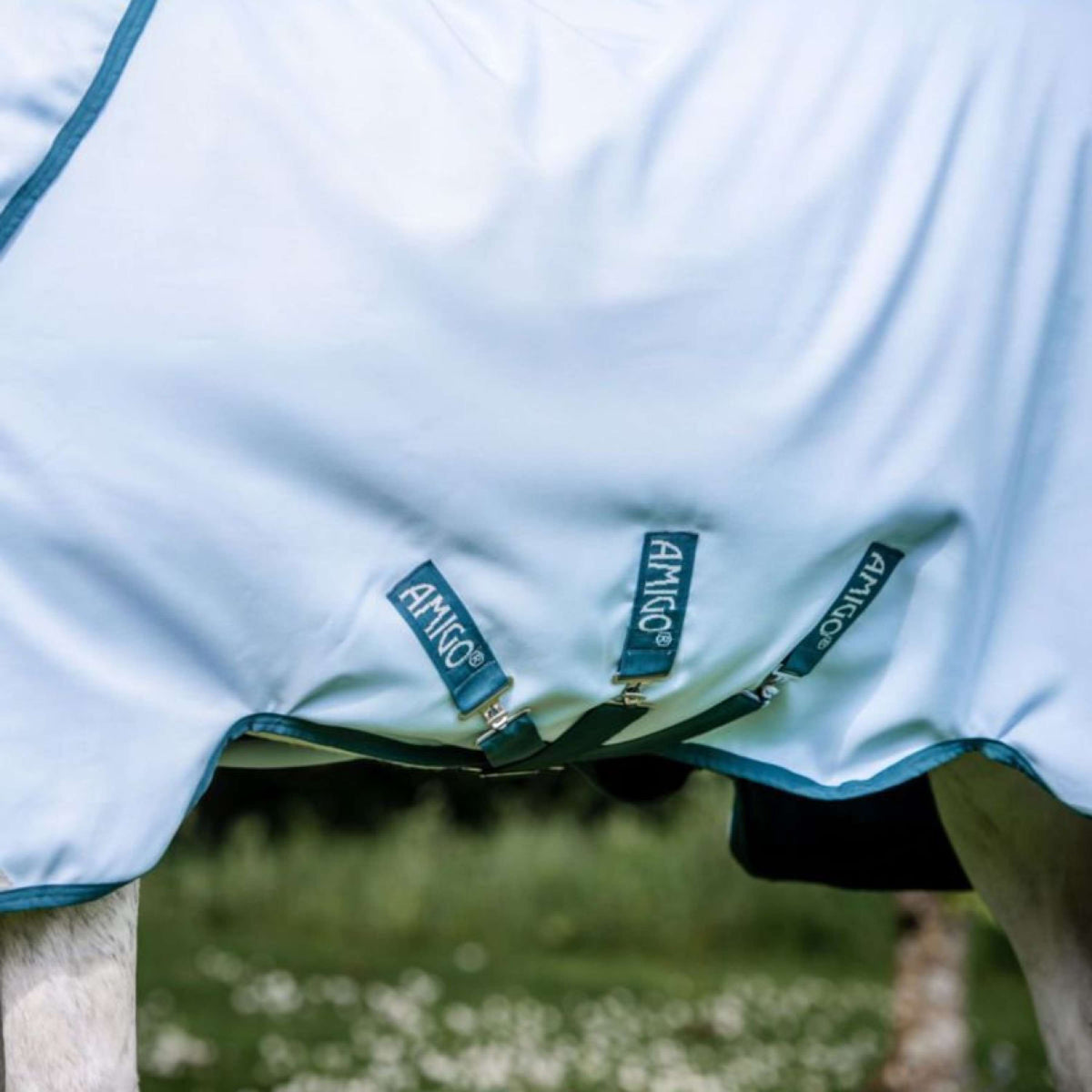 Amigo Plant Dye Turnout Blu/blu marino